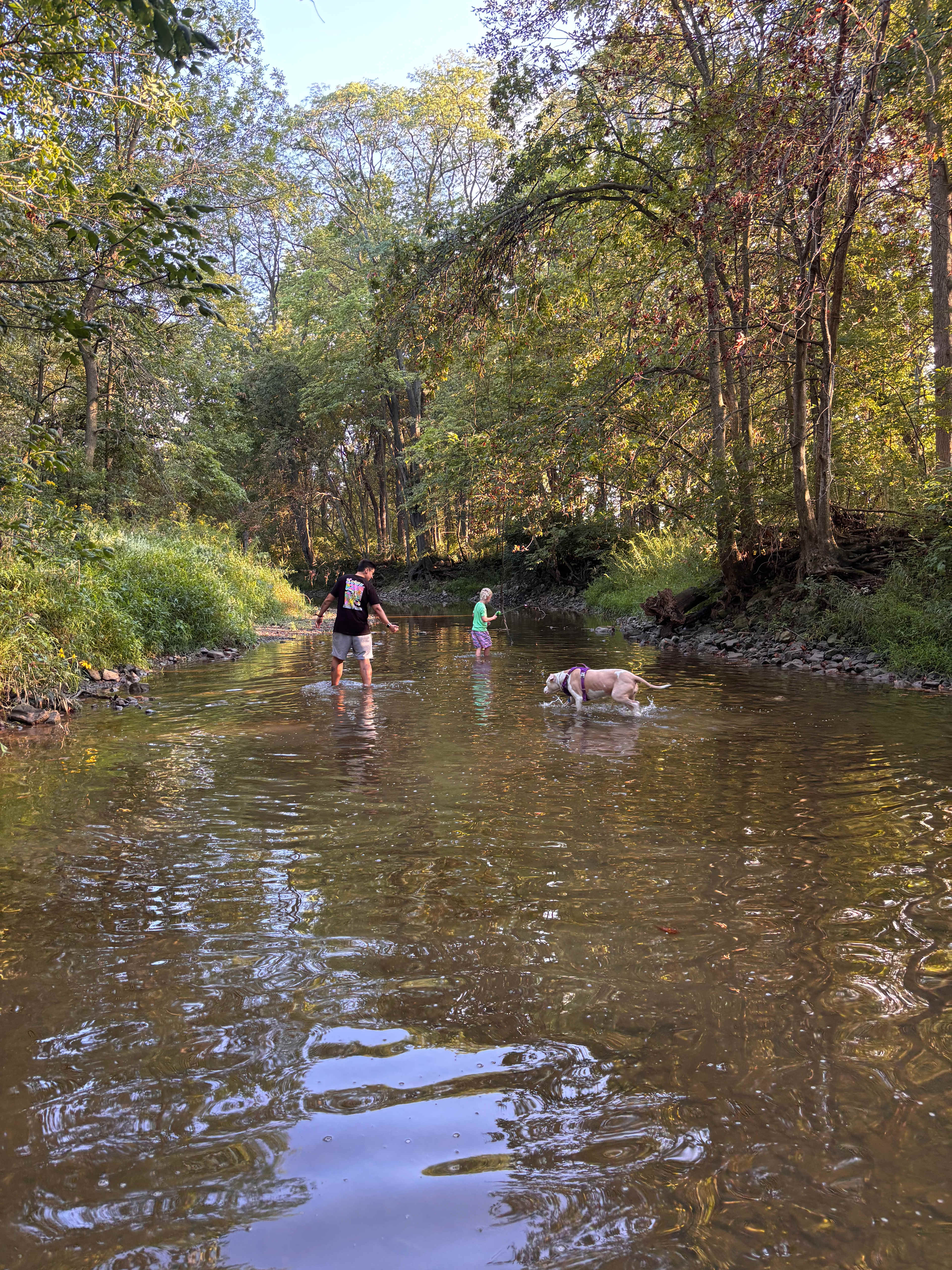Rusty's Retreat with pond and river