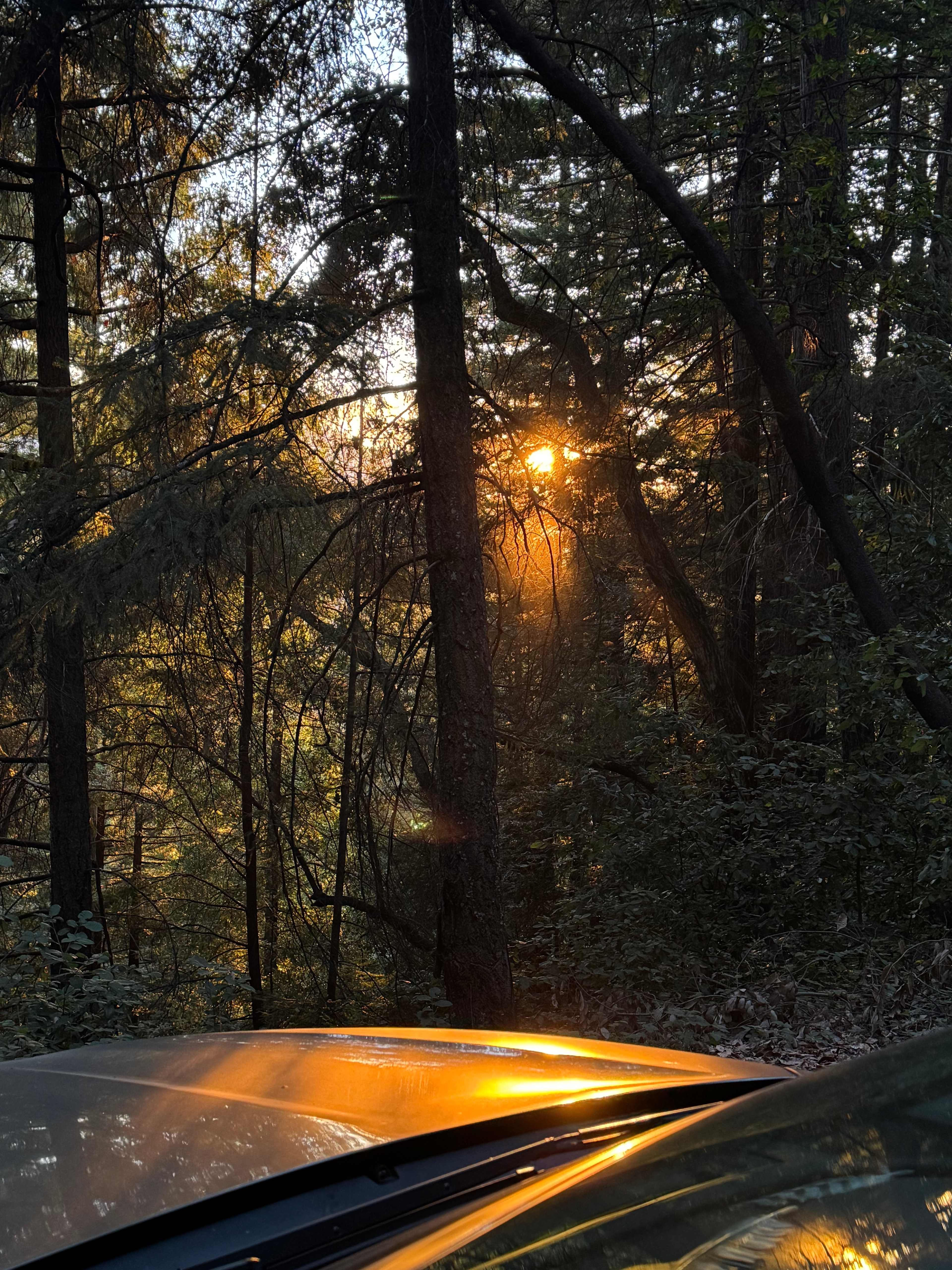 Sacred Earth Retreat (SER)