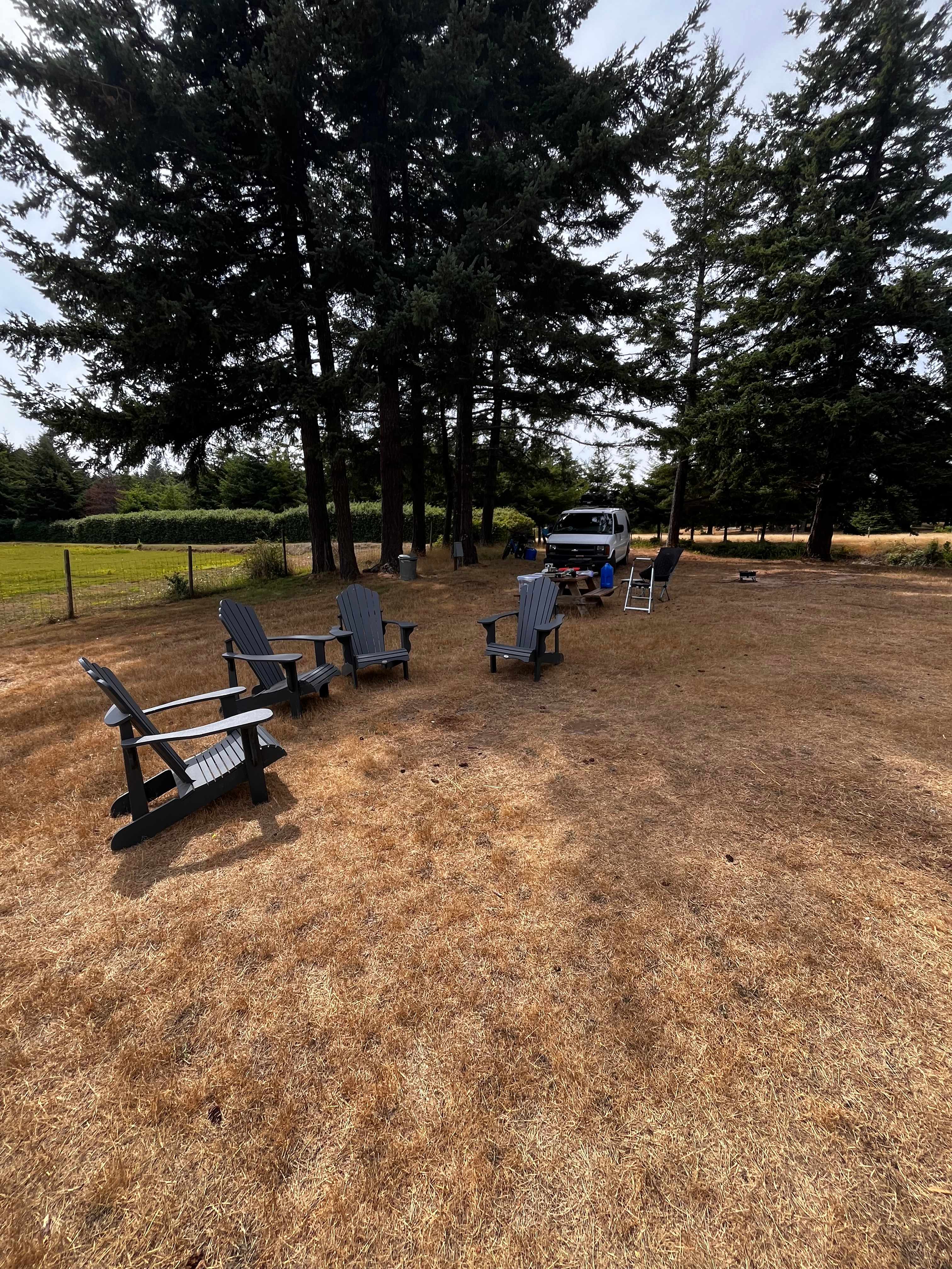 Bog site - provided comfy chairs