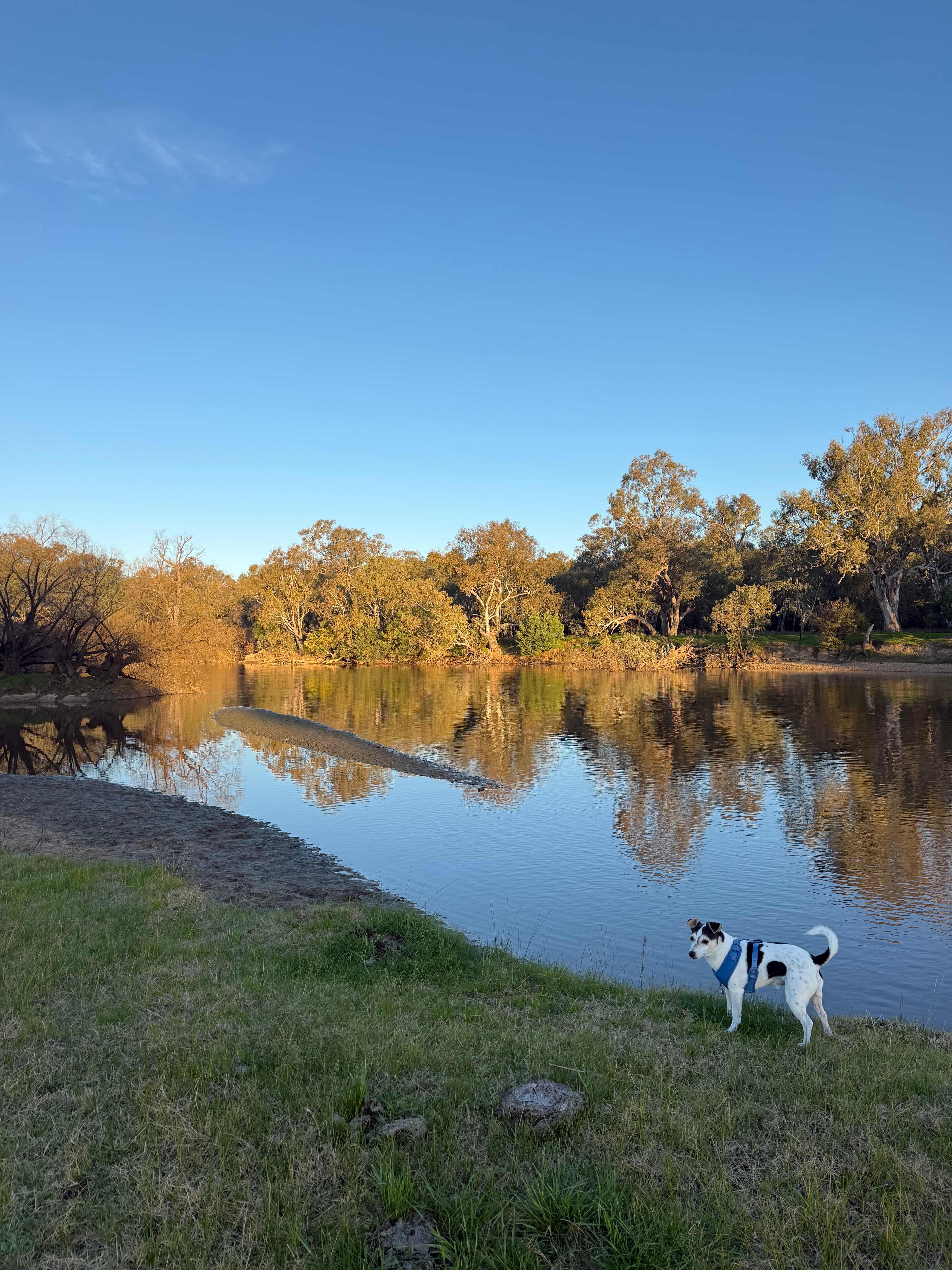 Willowbank on the Murray
