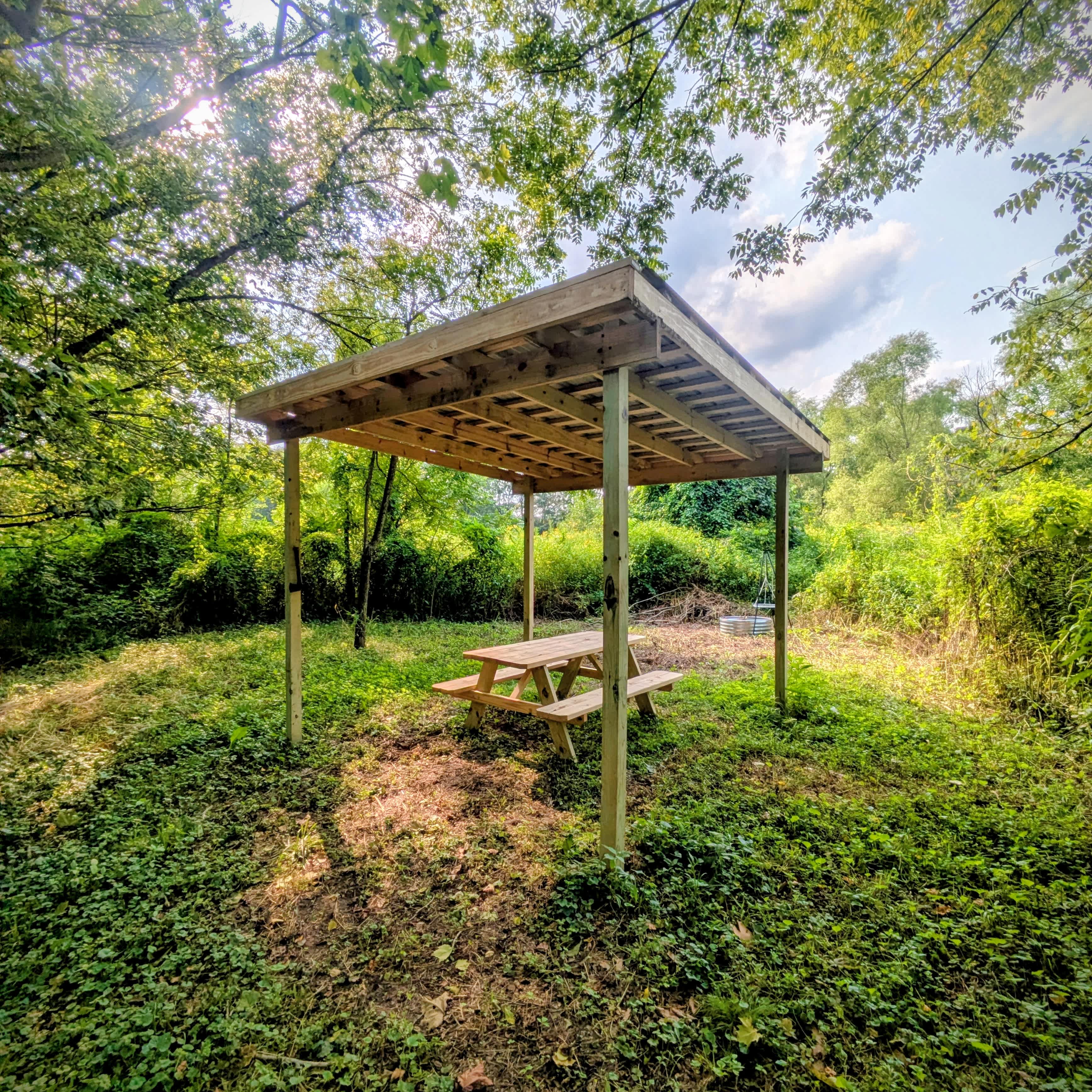 Bluebird Hollow
