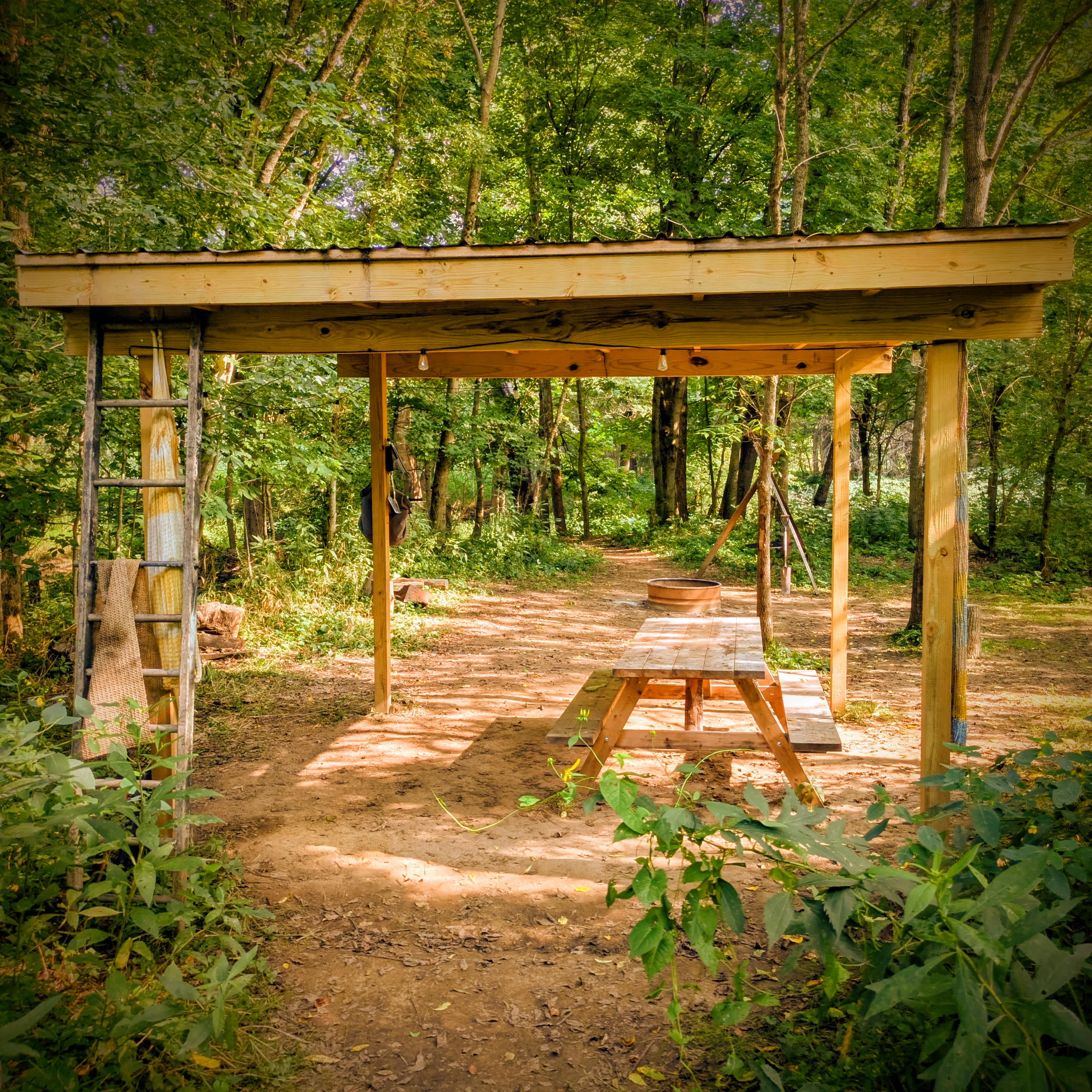 Bluebird Hollow