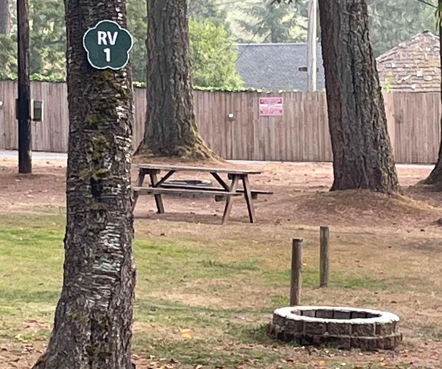 Picture of the site