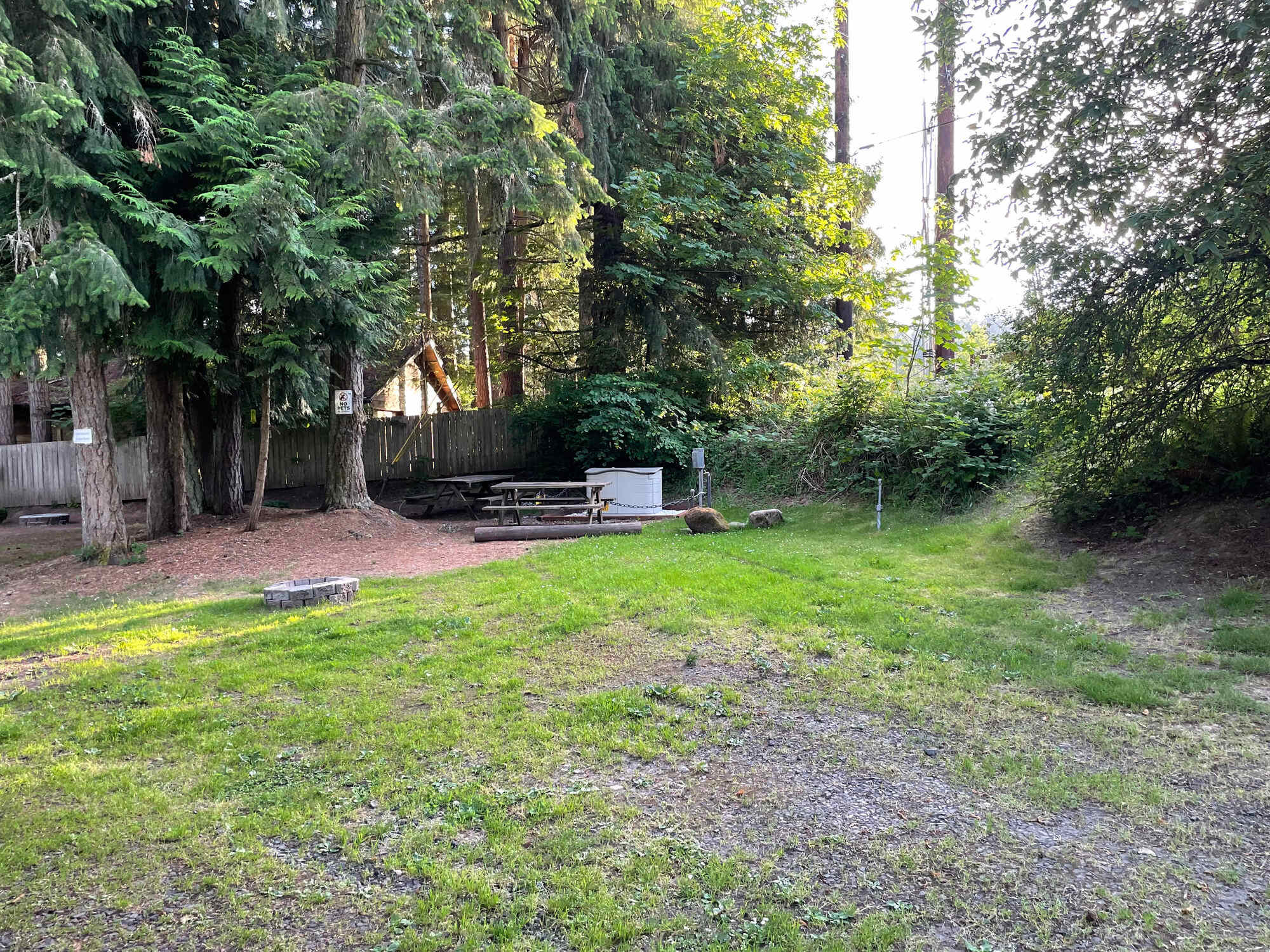 Picture of the site