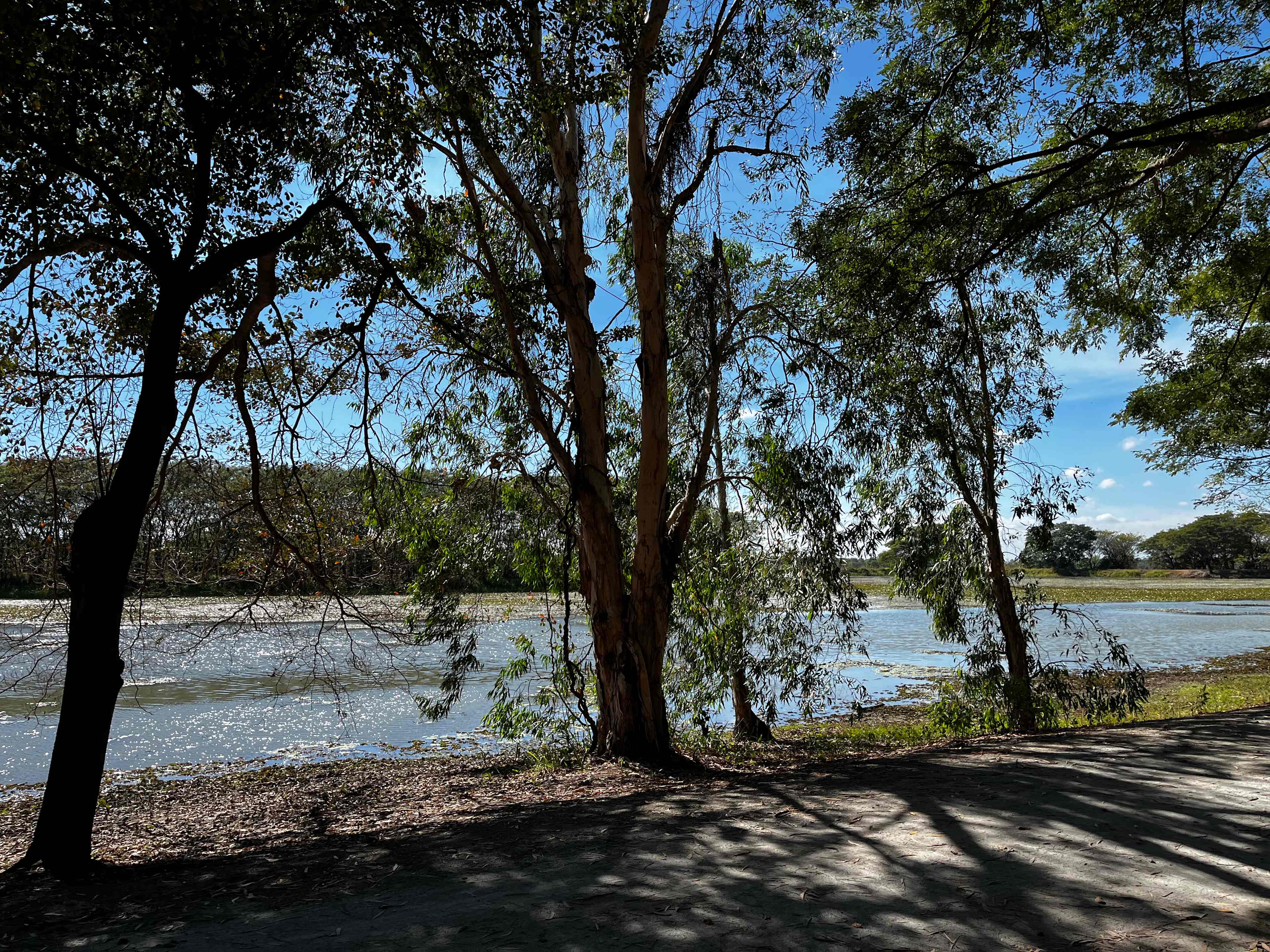 Mount Surround Campground