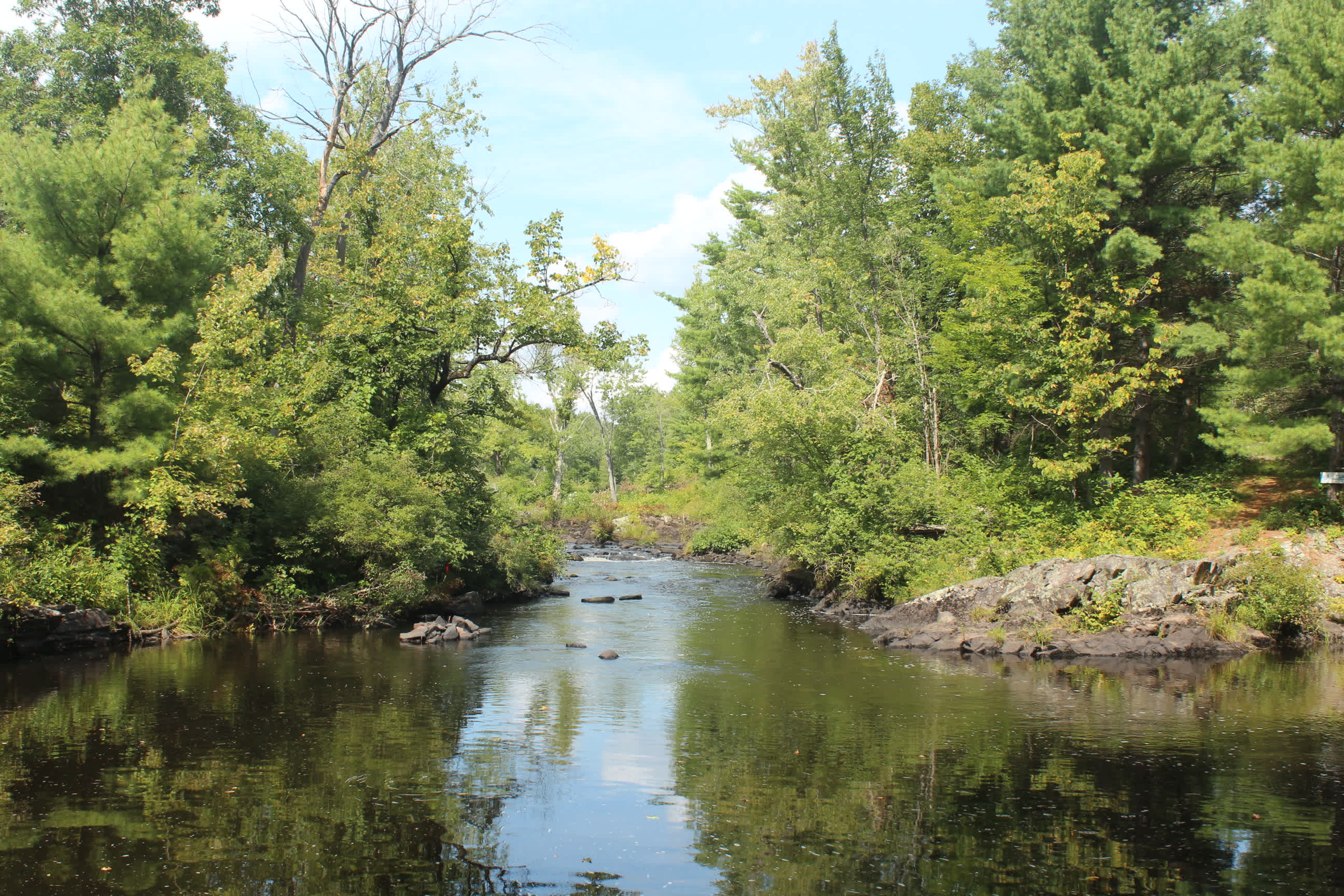 Hemlock Point Campground