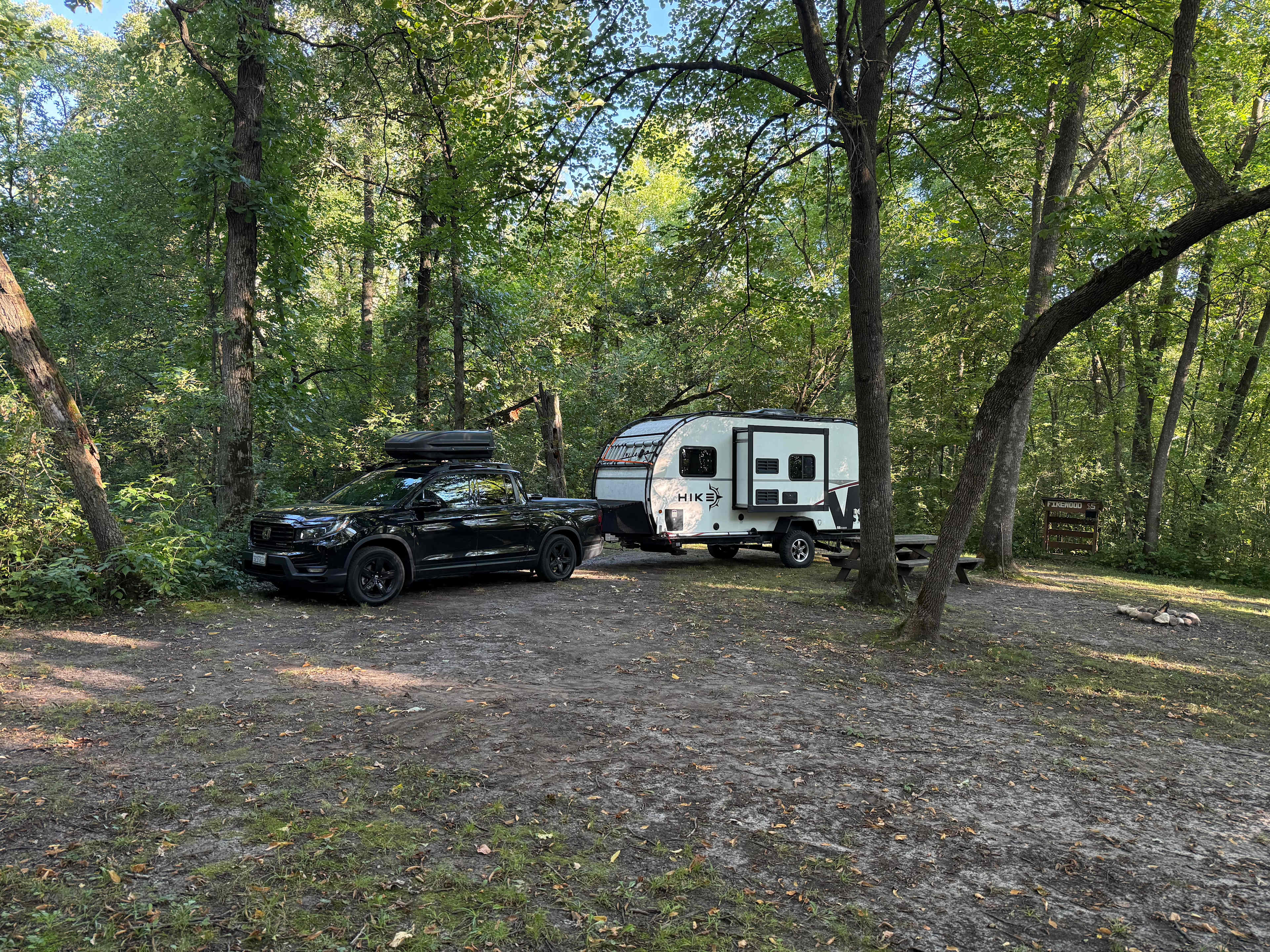 The Woods