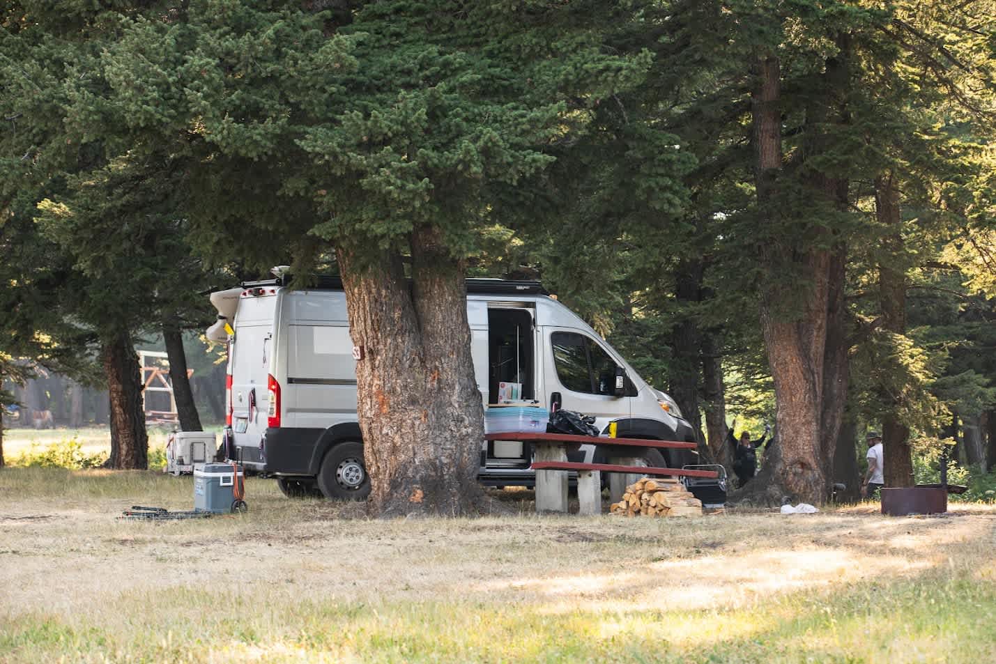 Picture of the site