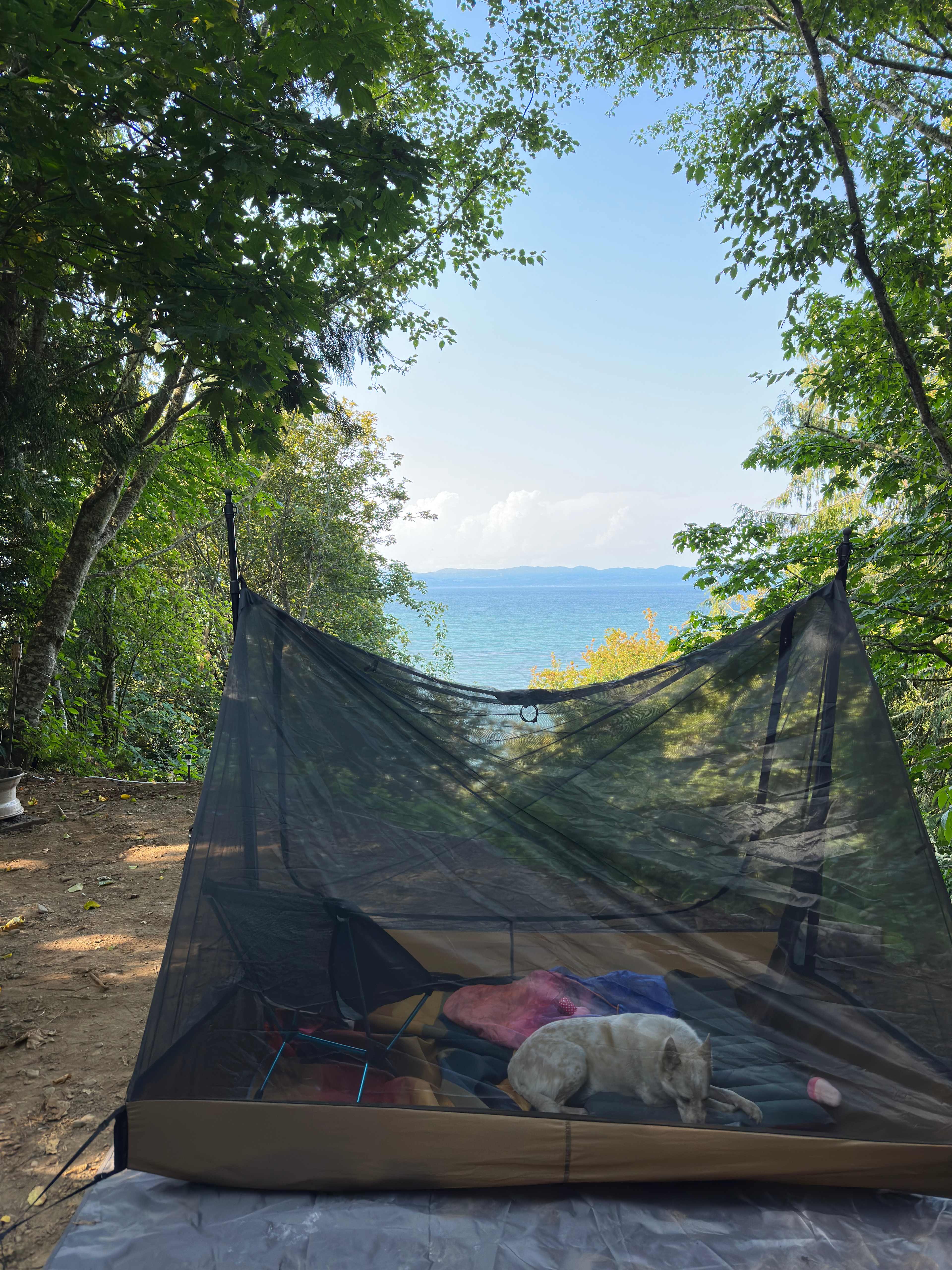 Site 2