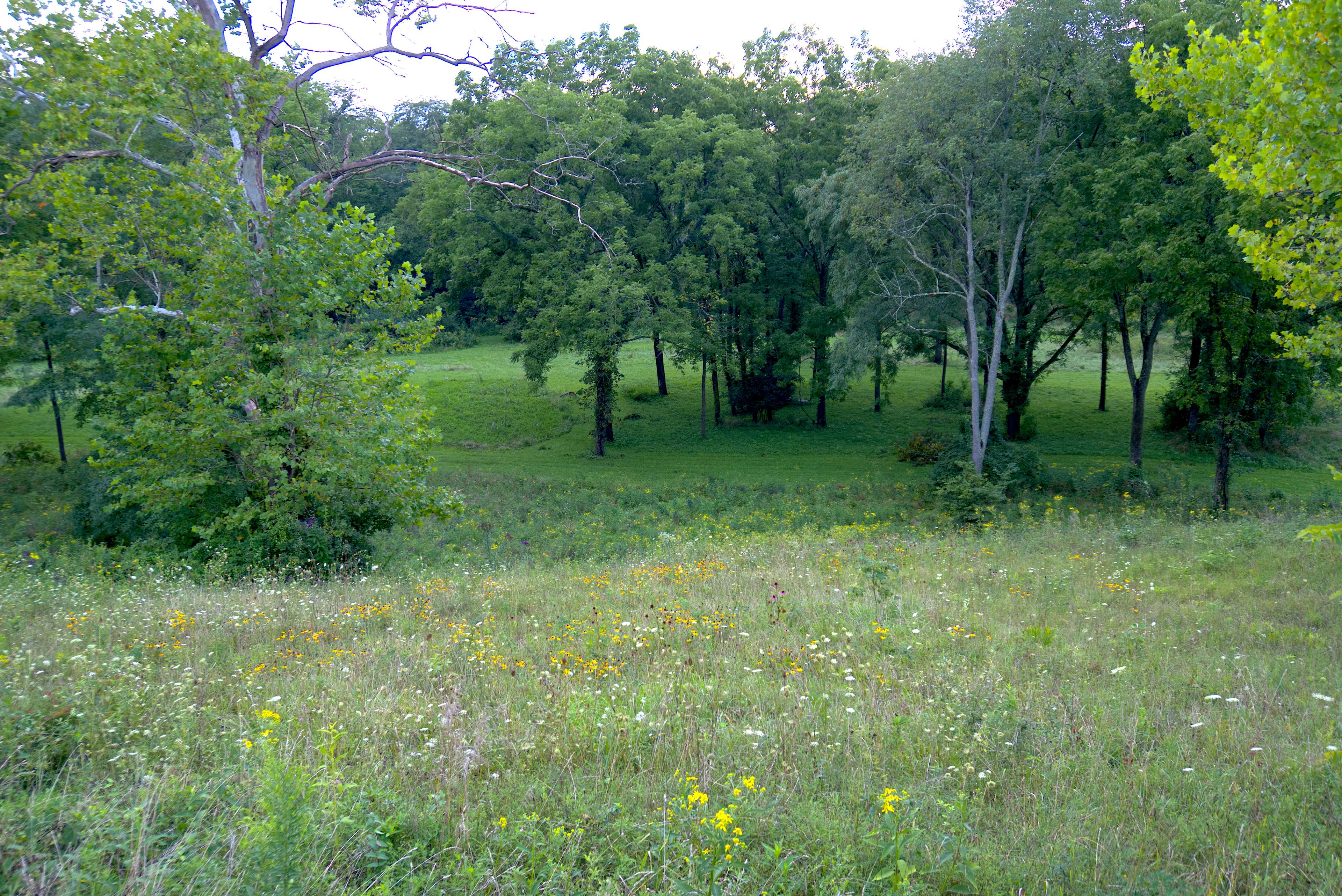 Little Darby Outdoors