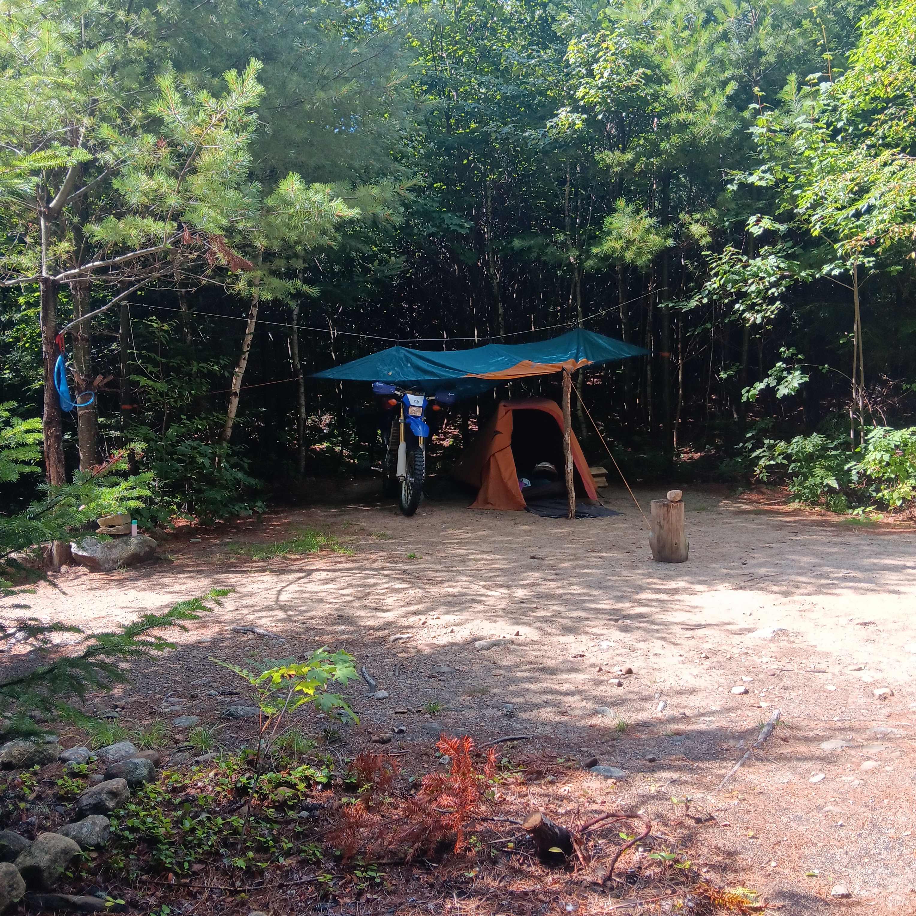 Sacred Nectar Sanctuary