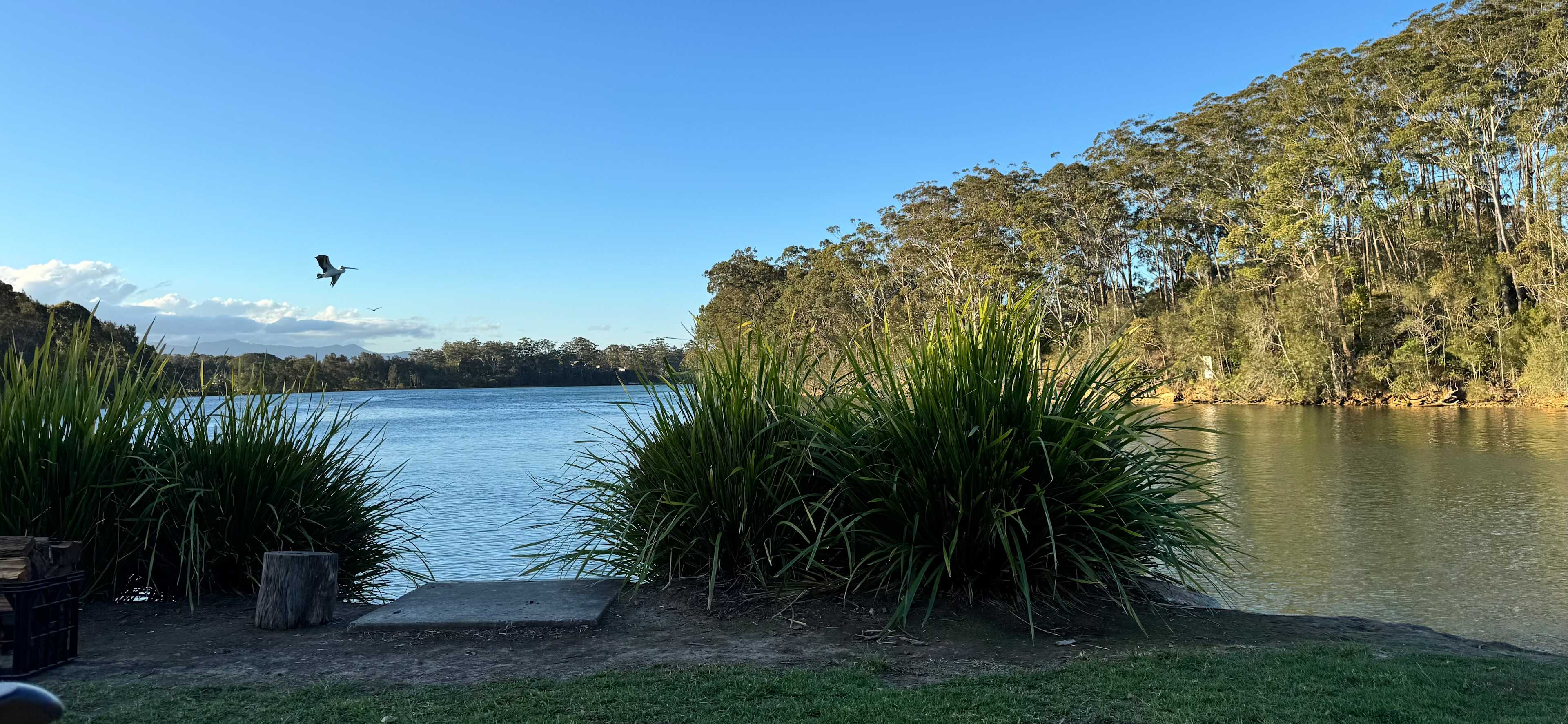 Anchorage Park Urunga