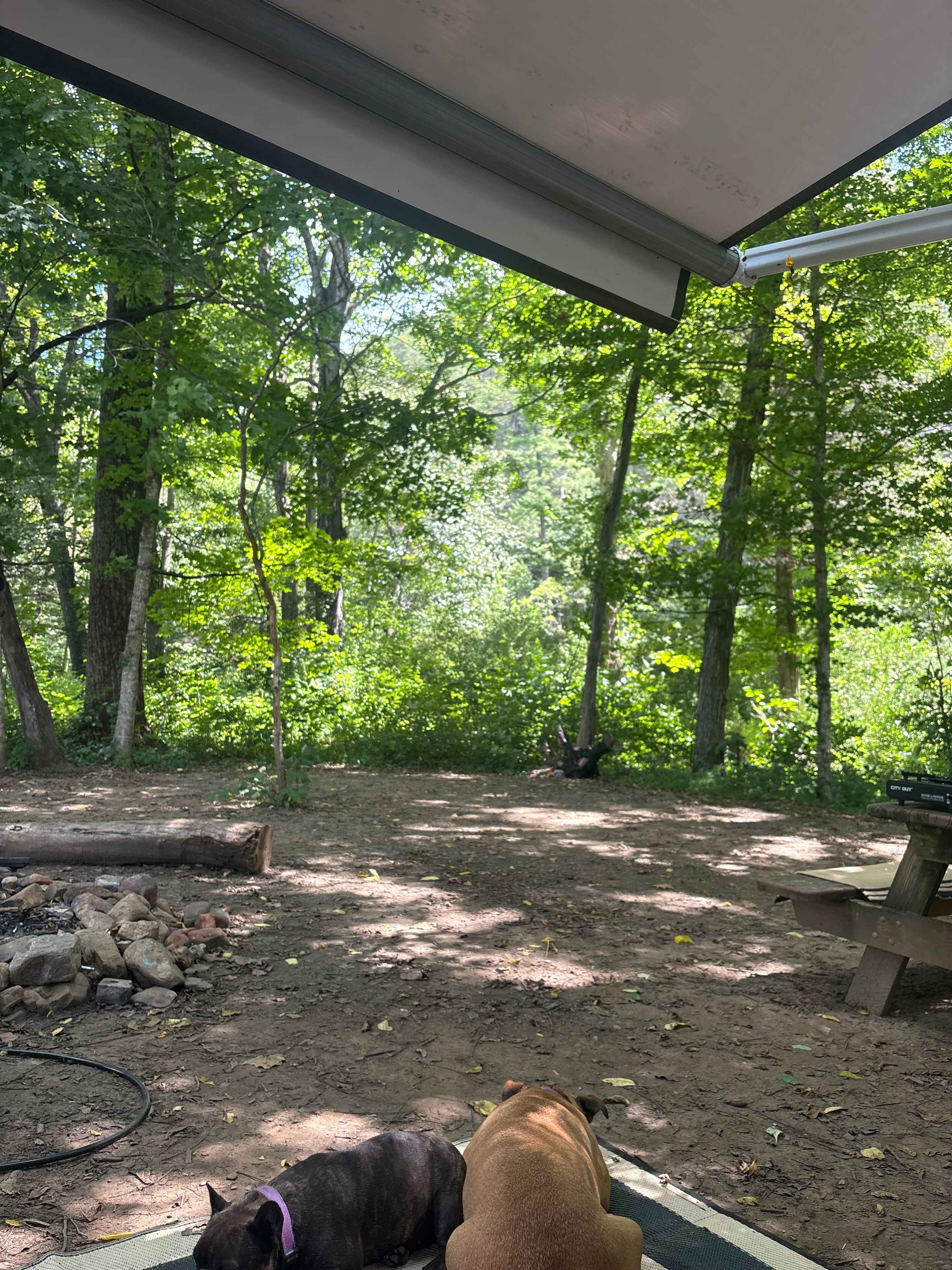 Savage Acres on Craig Creek