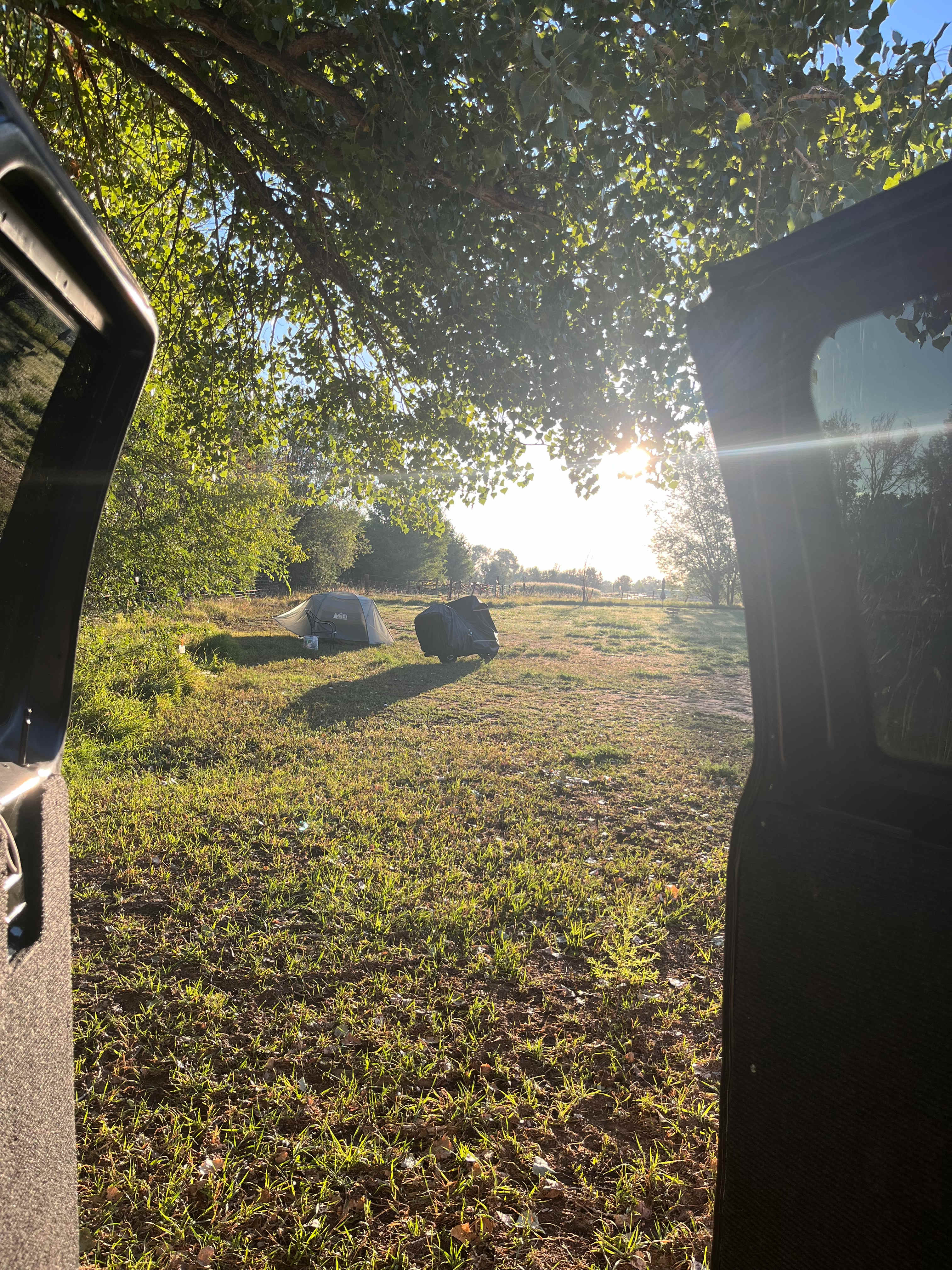 Morning view