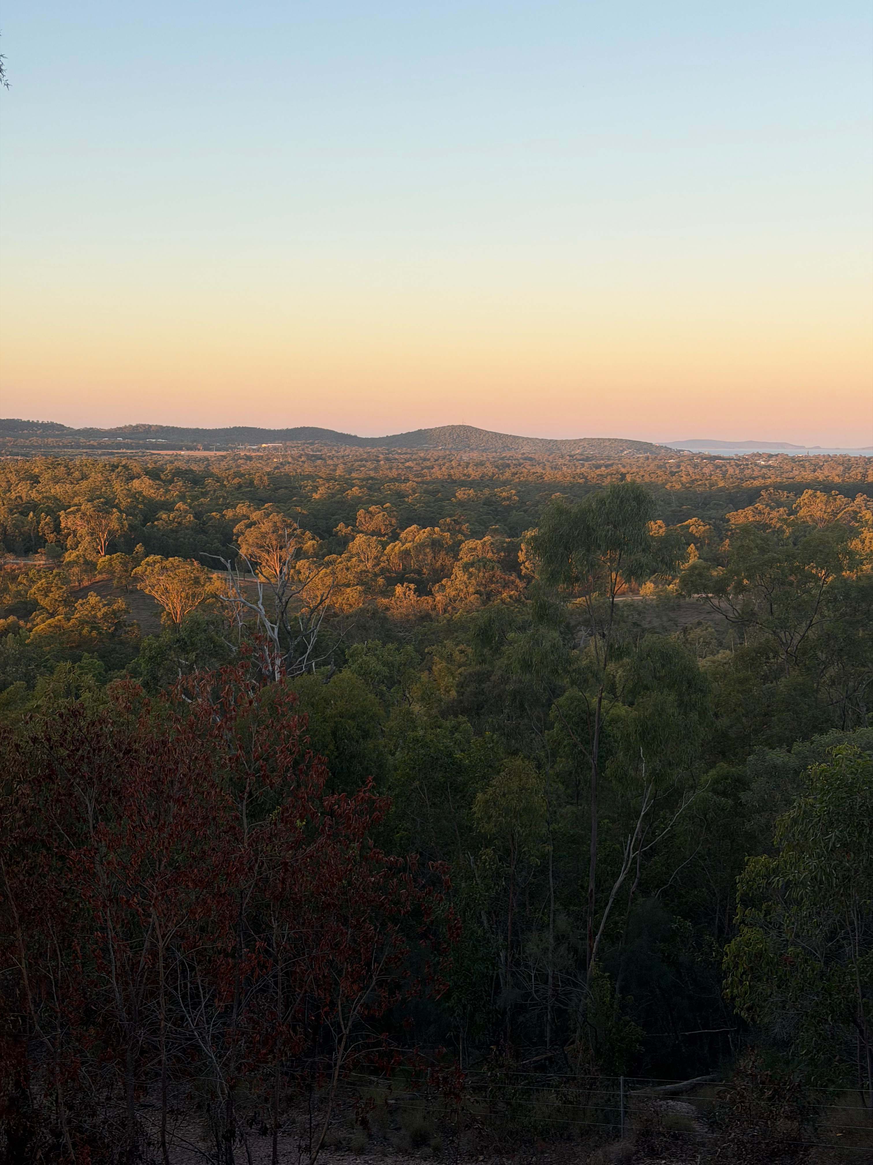 Bondoola Heights