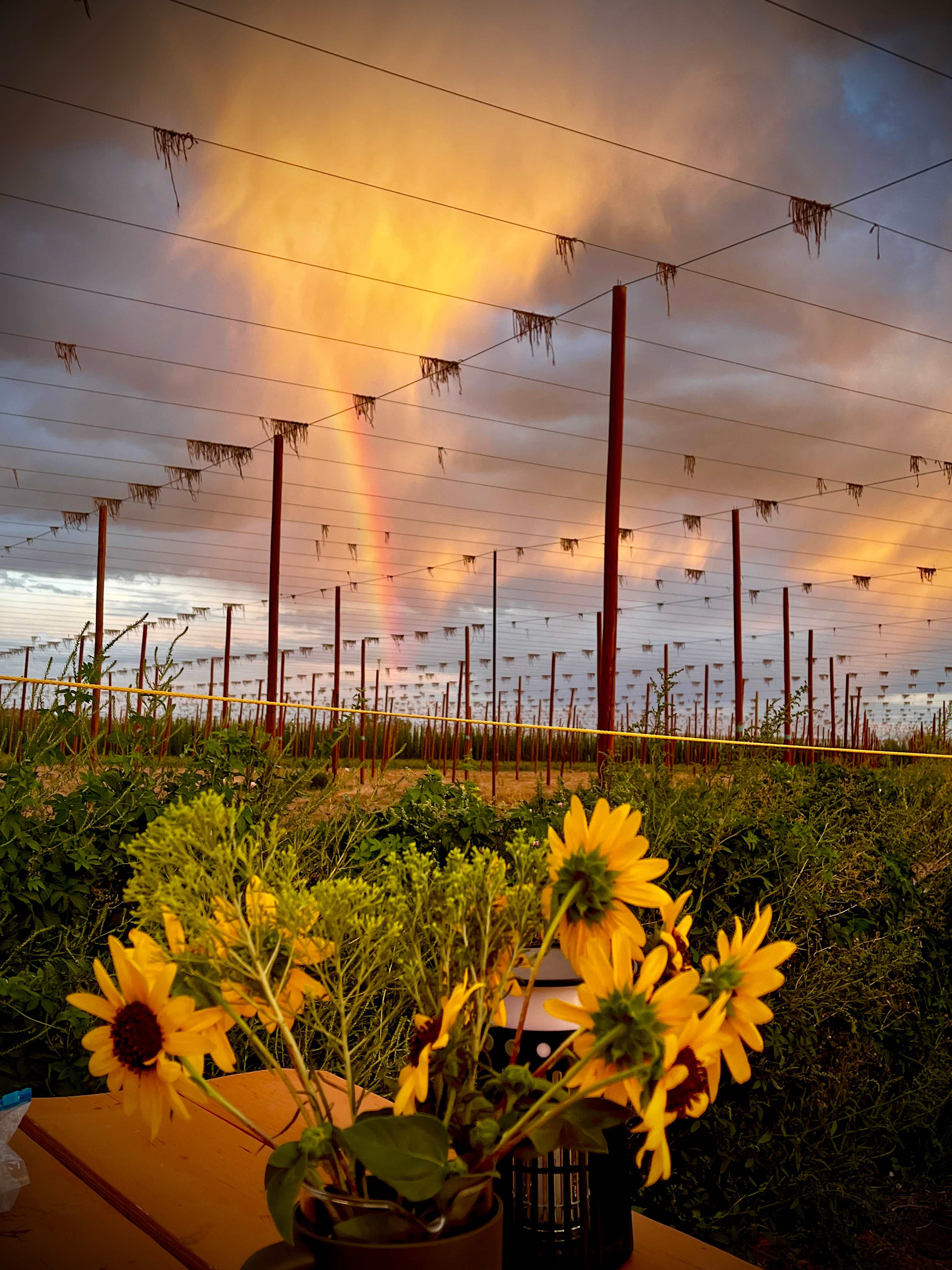 The Hop Yard Hideaway