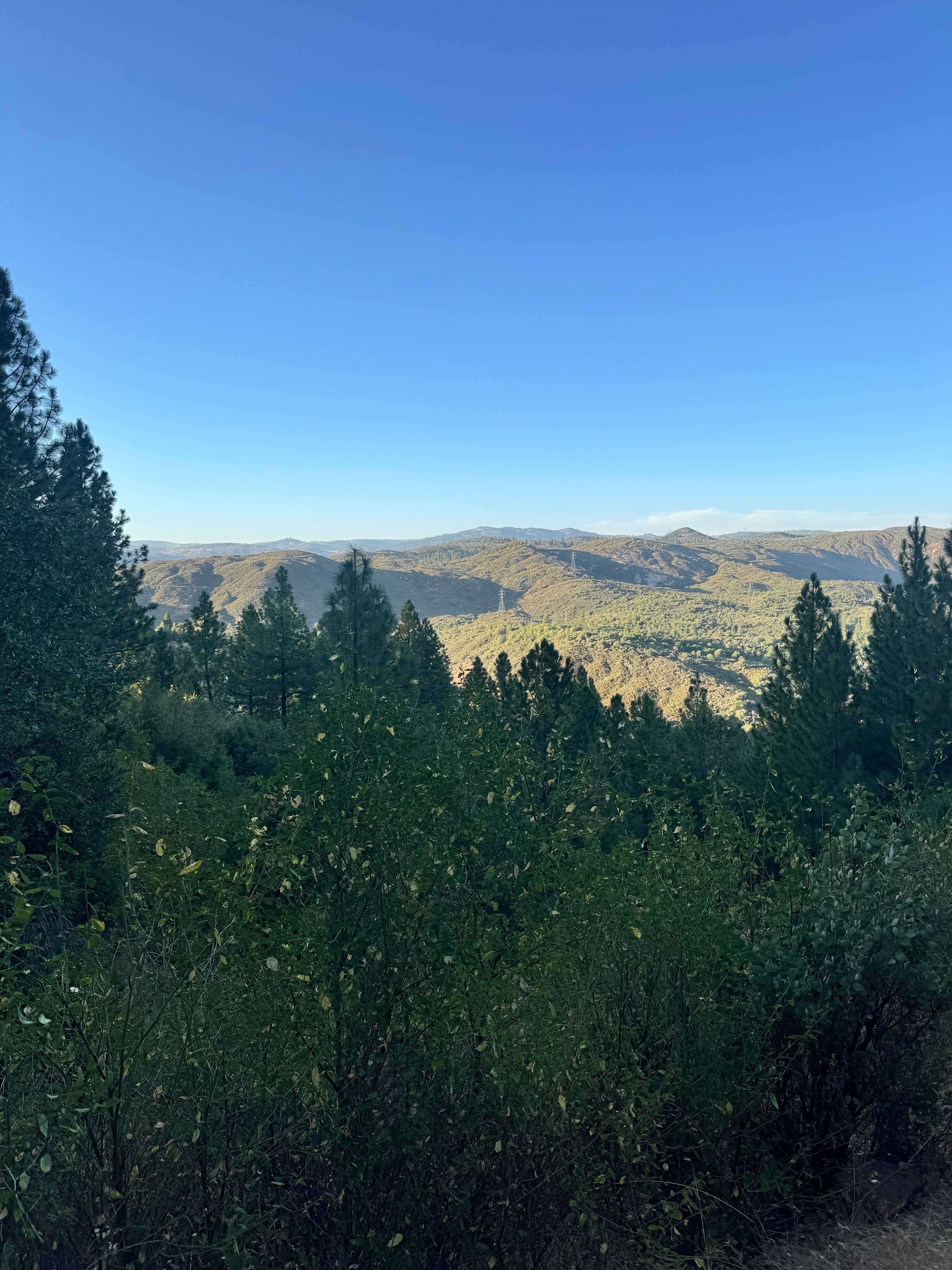 Yosemite Colfax Spring