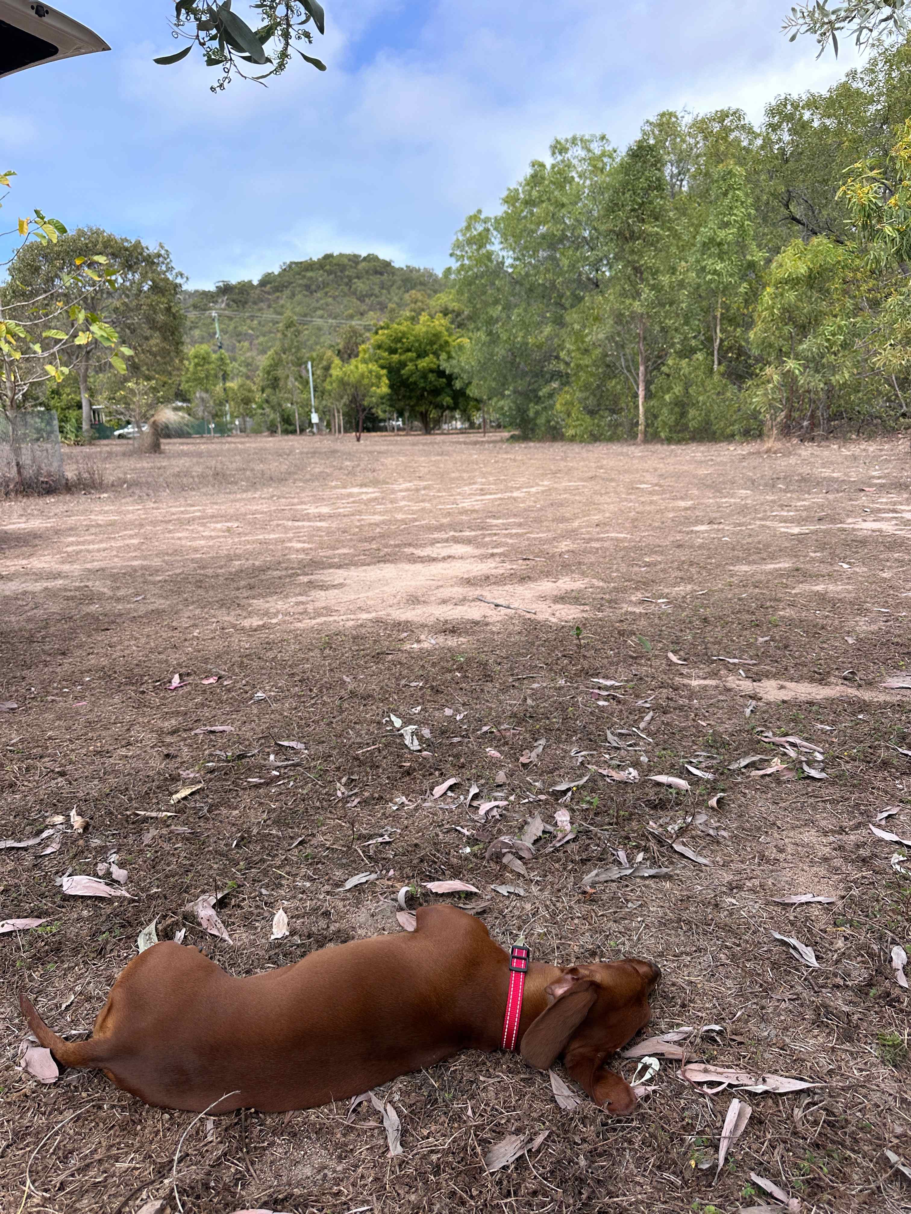 10 acre bush block