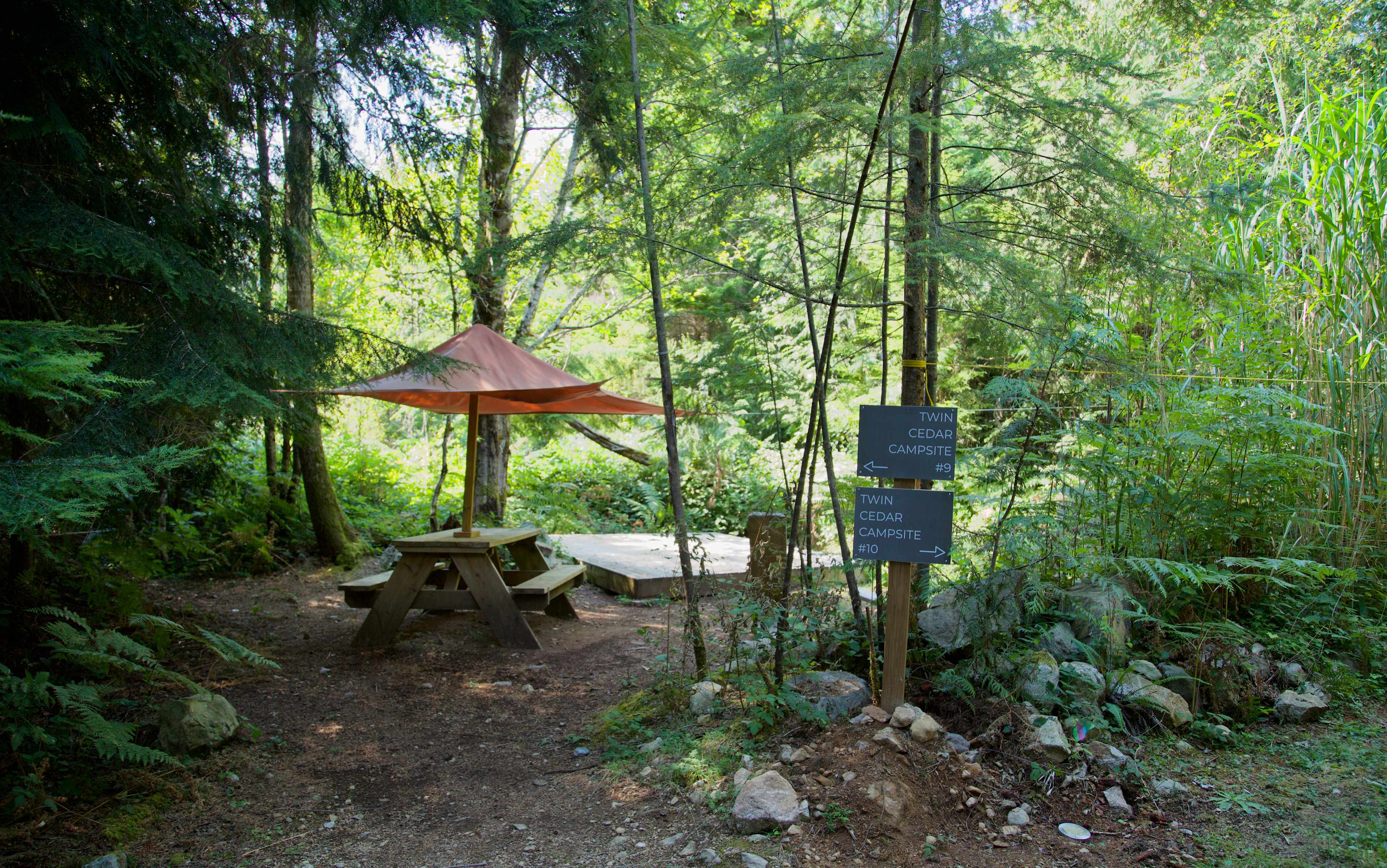 Picture of the site