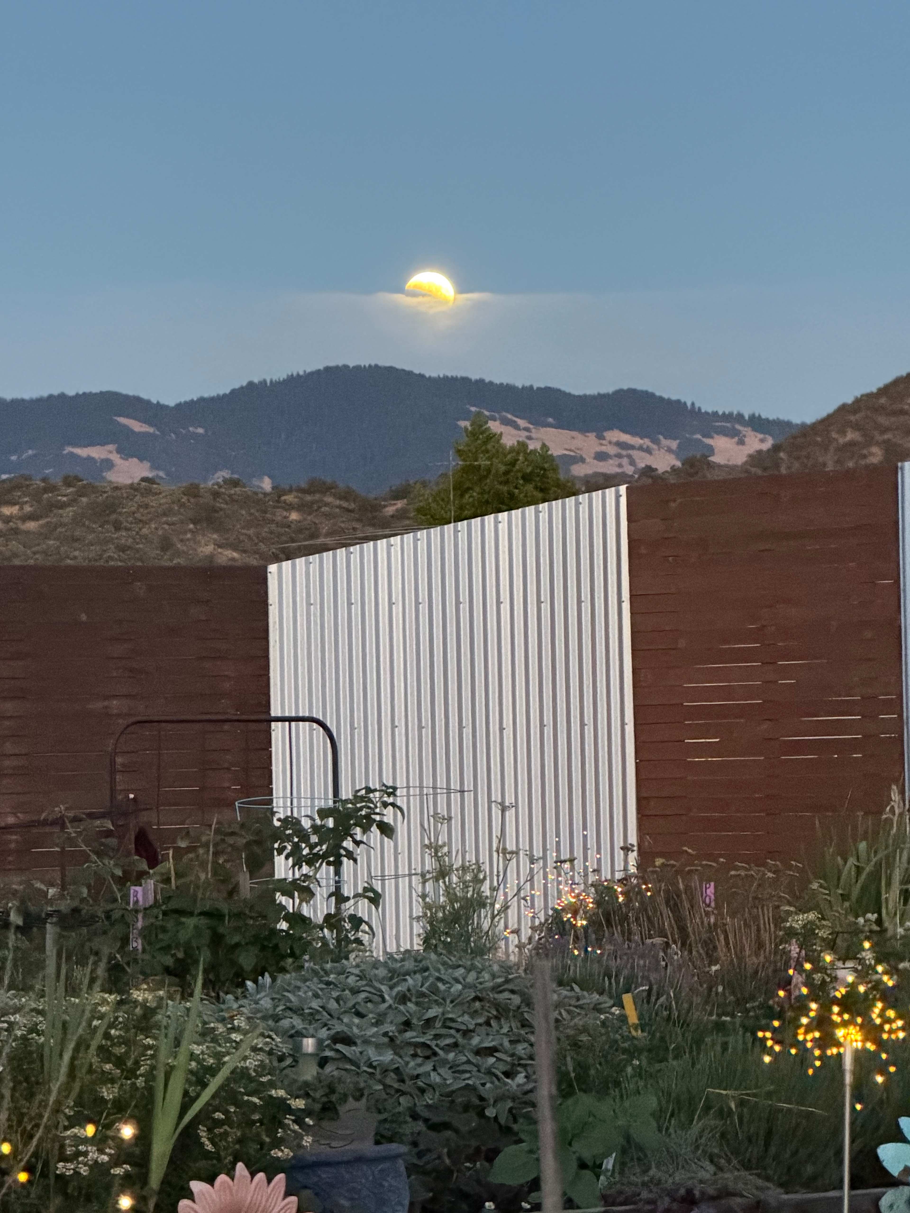 Lunar eclipse