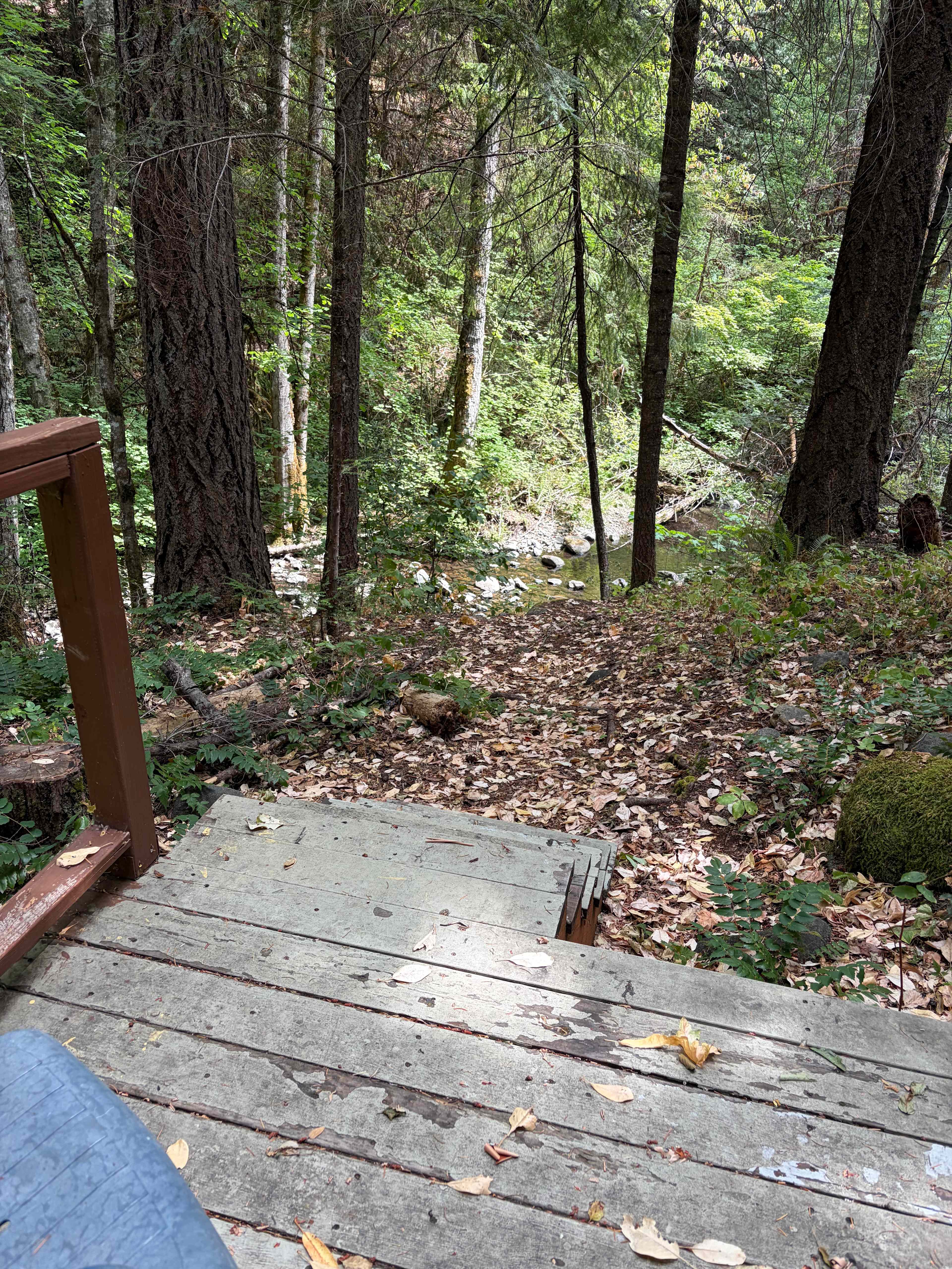 Creekside Cottage in Williams, OR