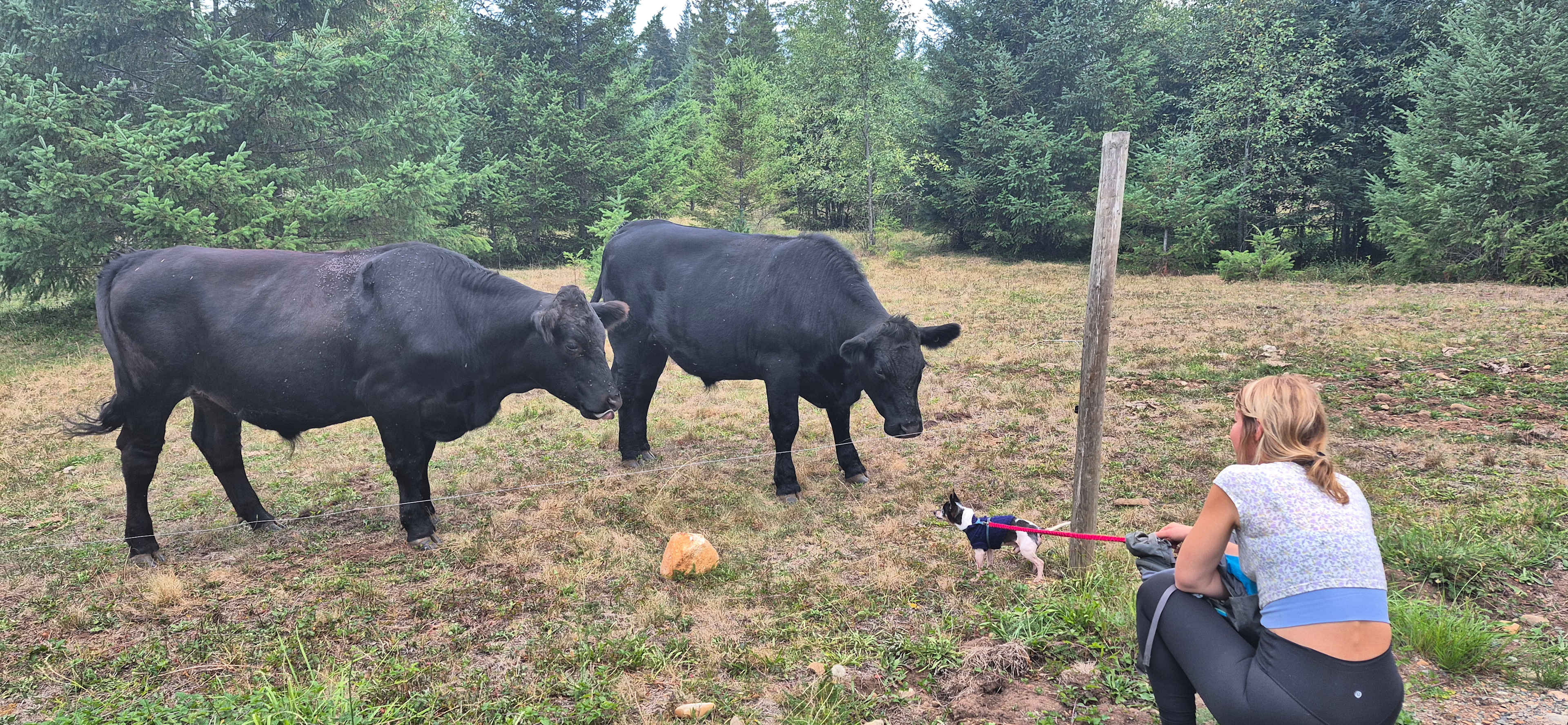 Making new friends 🧡 