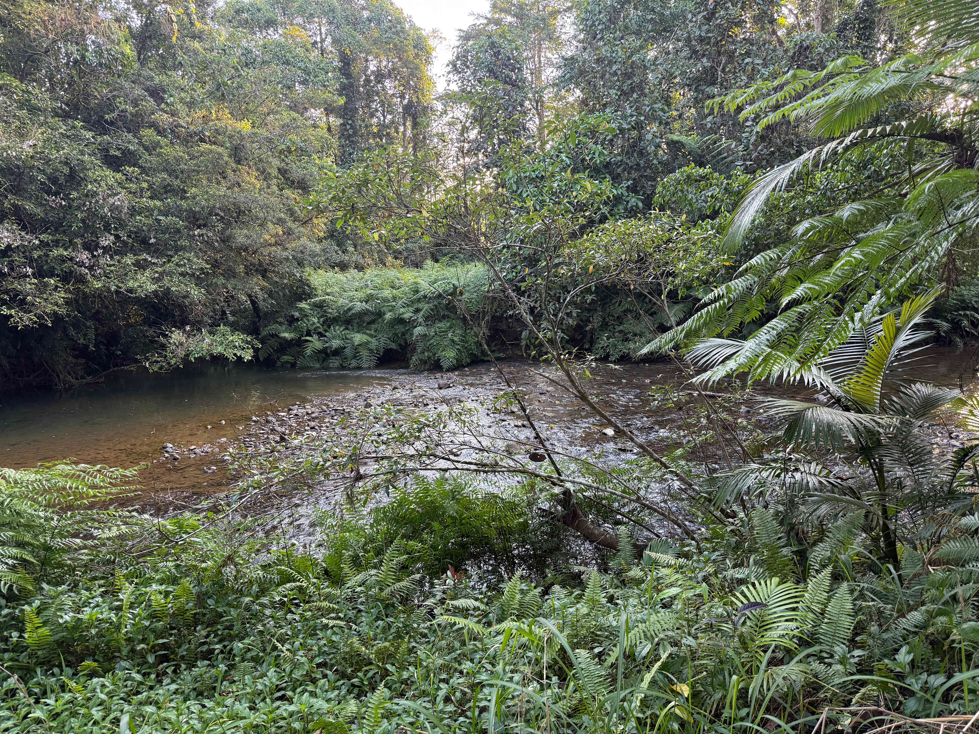 Crystal Valley