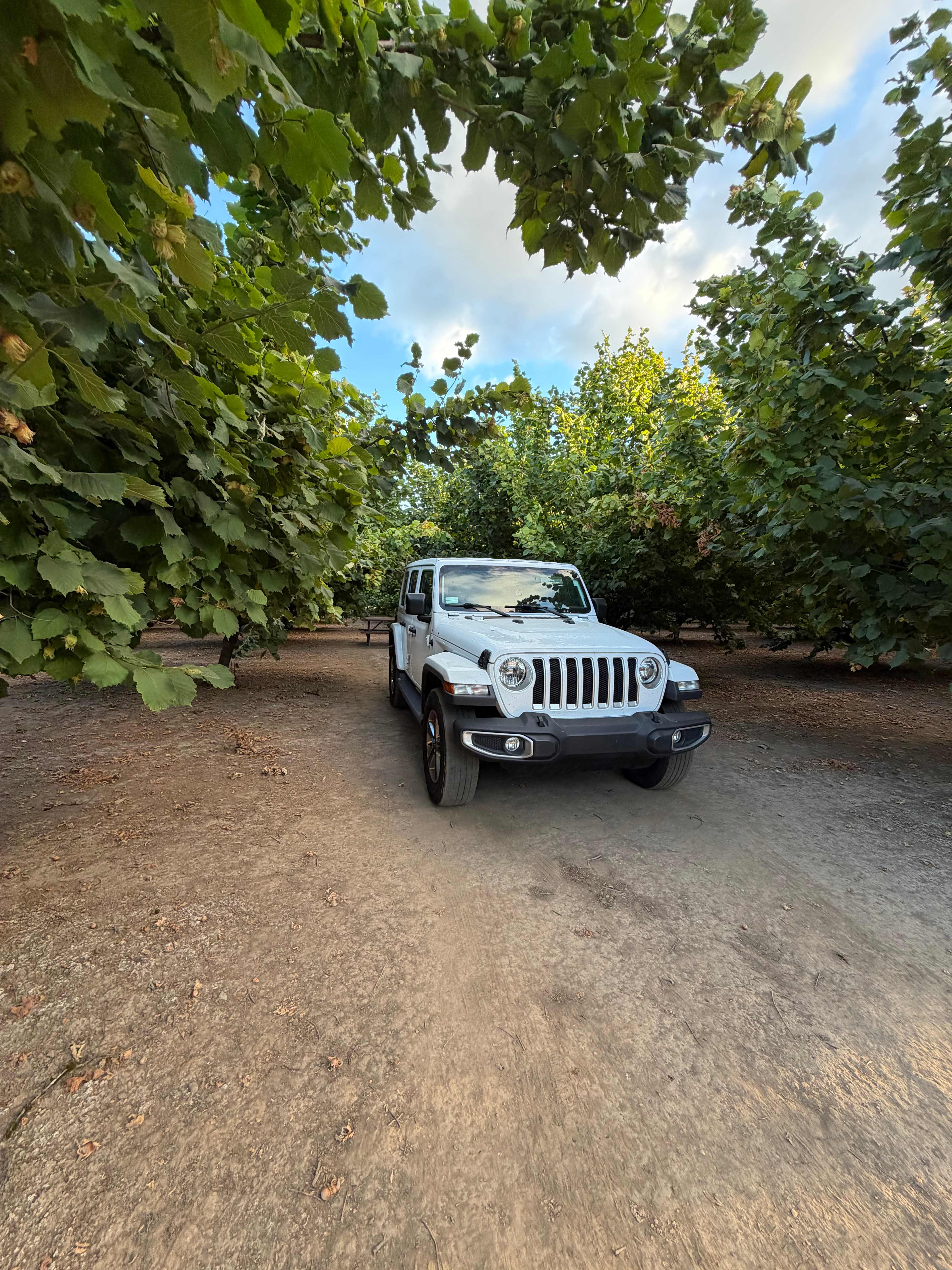 Tranquil Orchard and Wine Tours