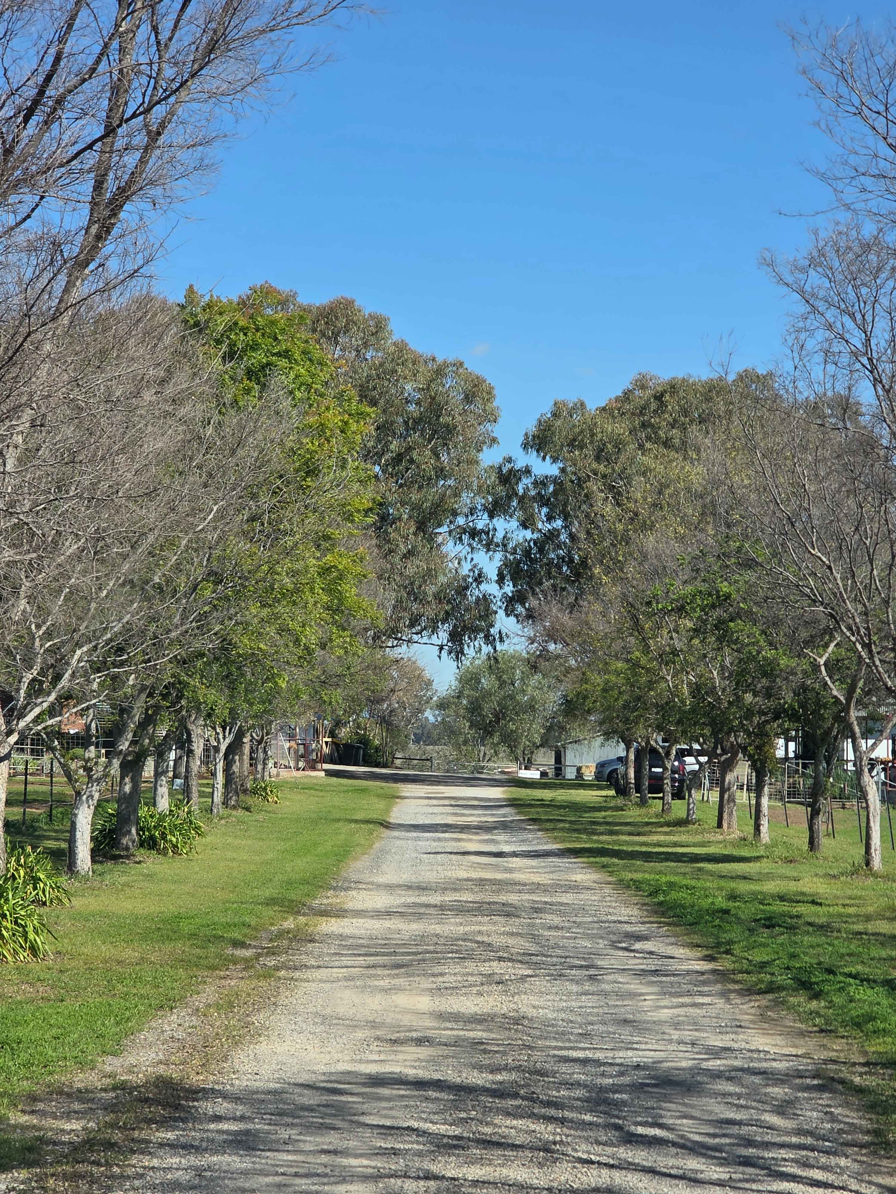Sheffield B&B Farm stay Tamworth