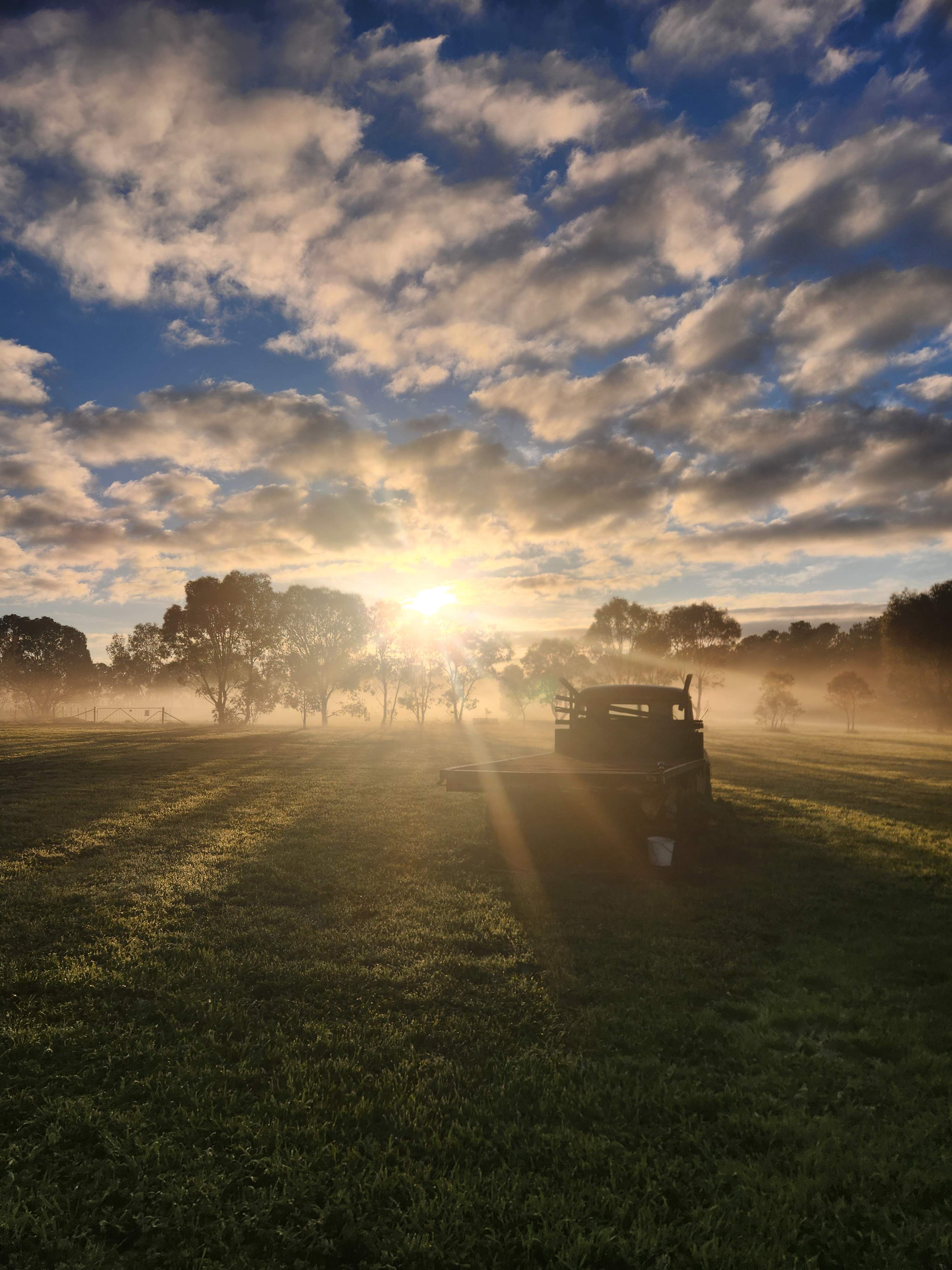 Sunrise 