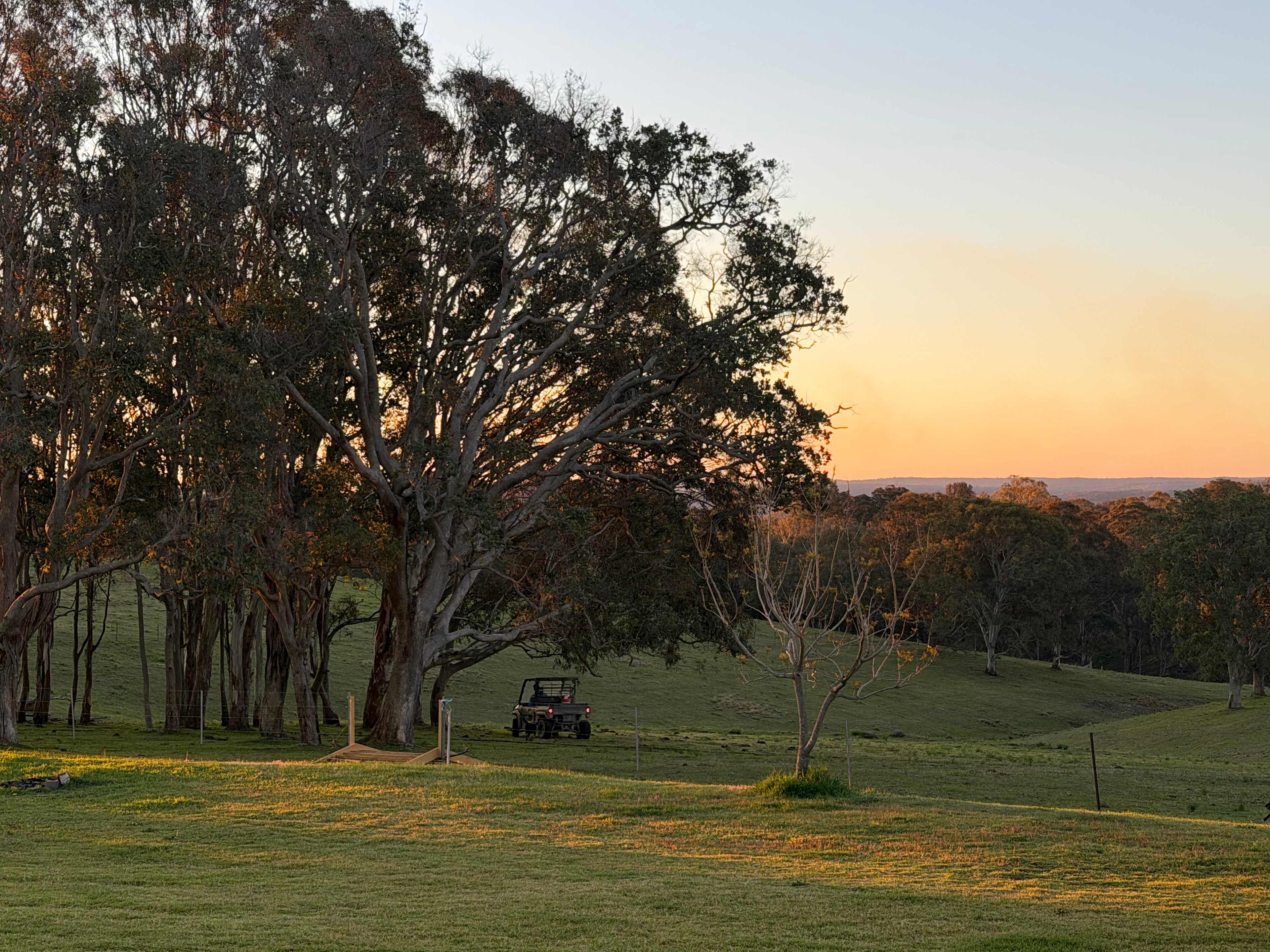 Aloomba Lavender Farm