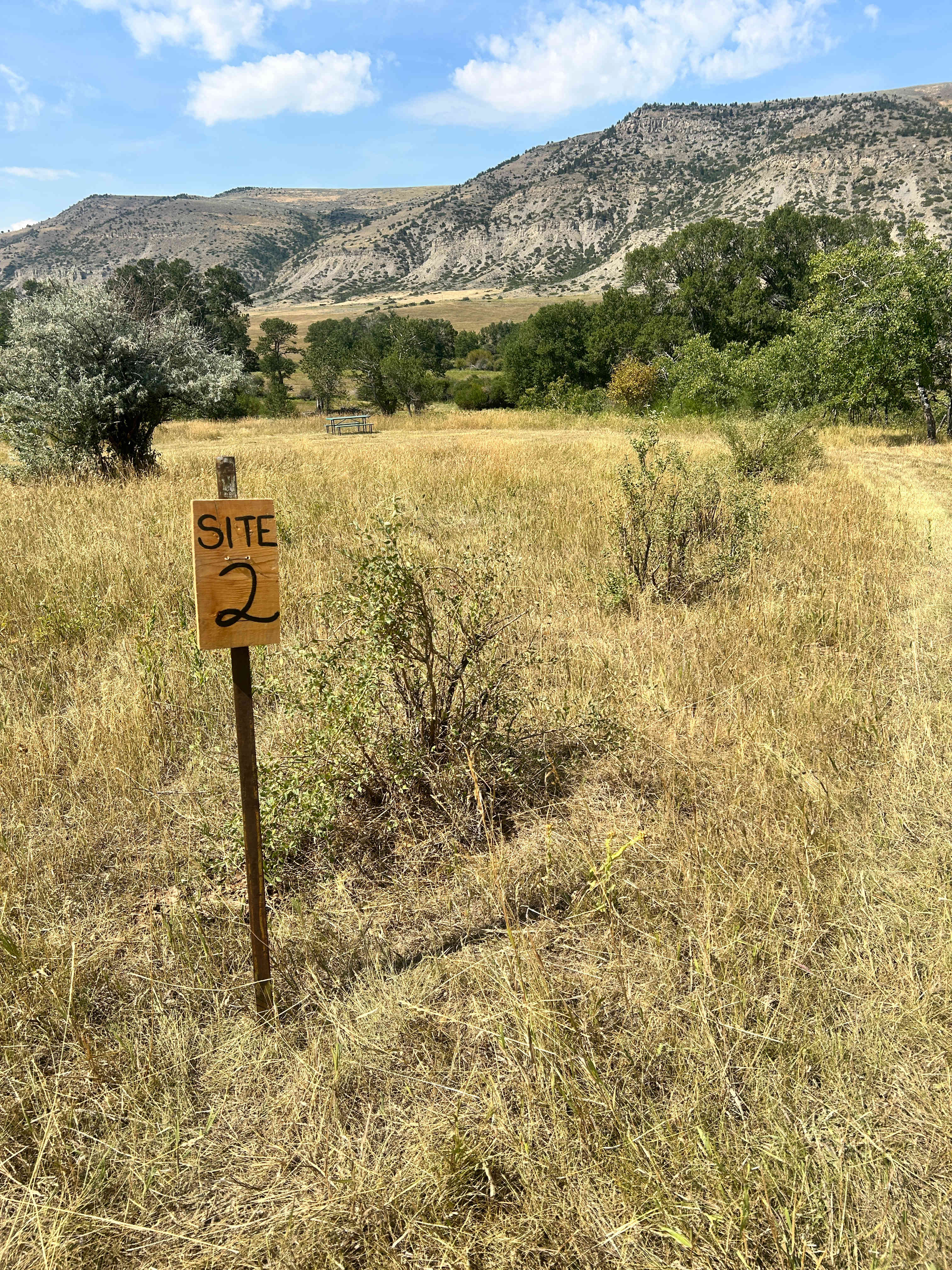 Picture of the site