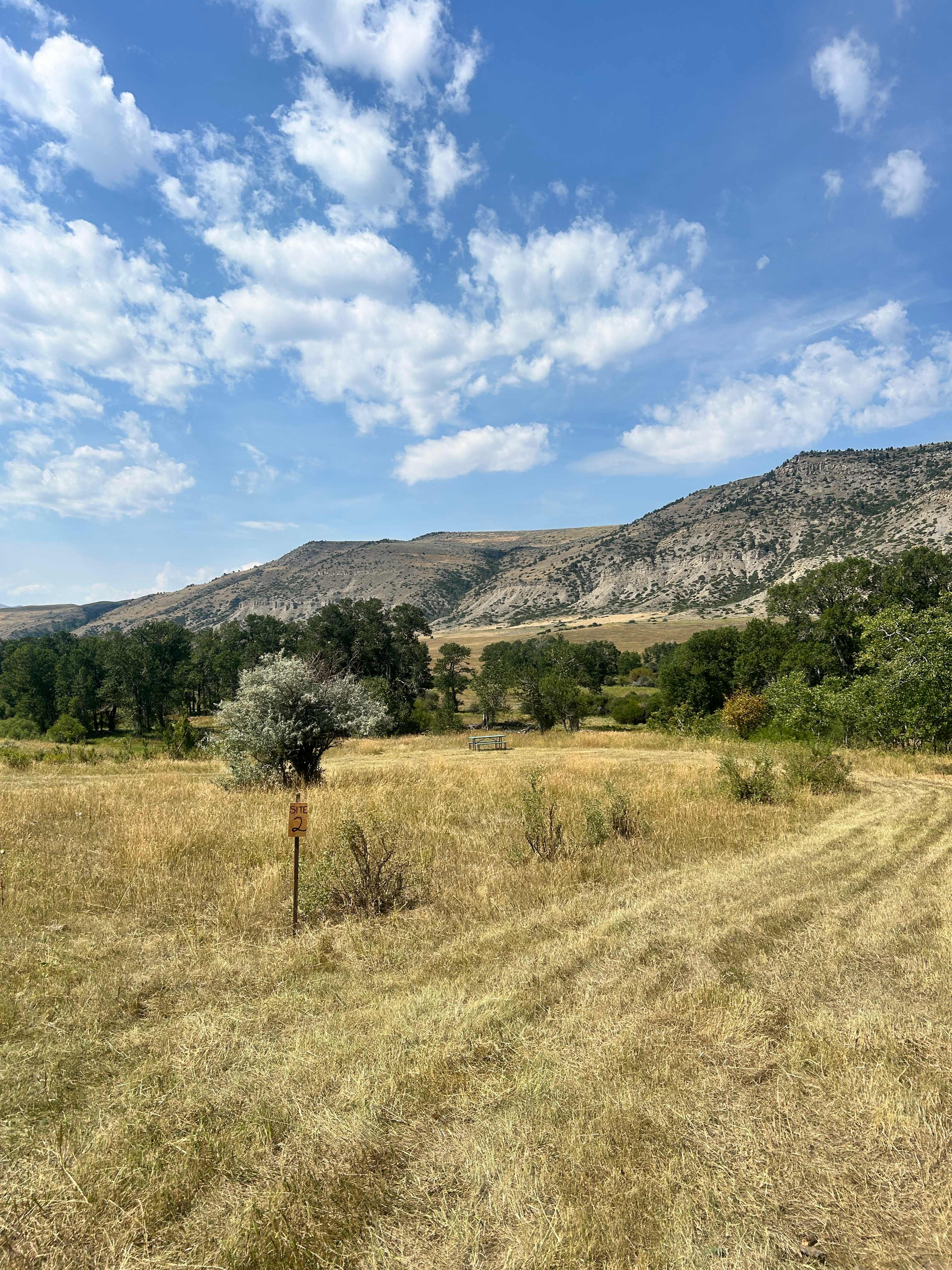 Picture of the site
