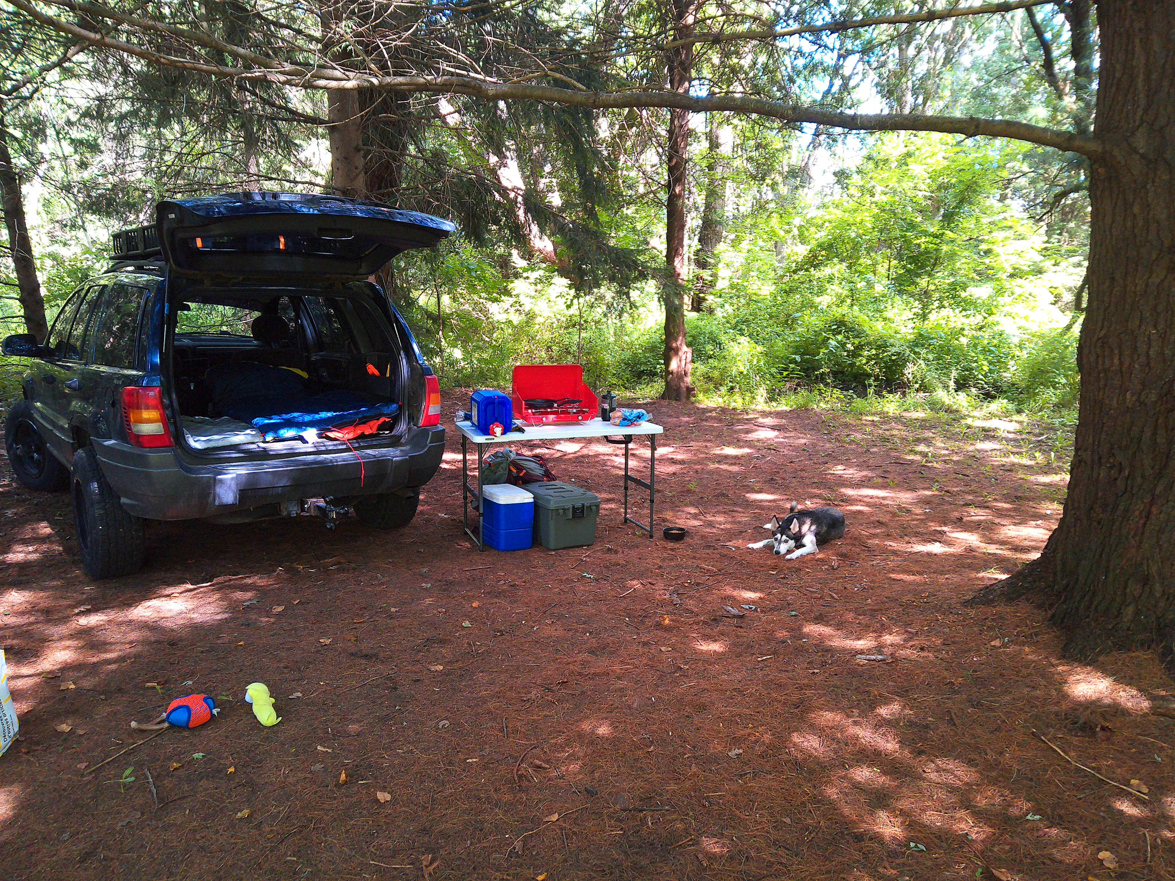 Braemar Valley Nature Sanctuary