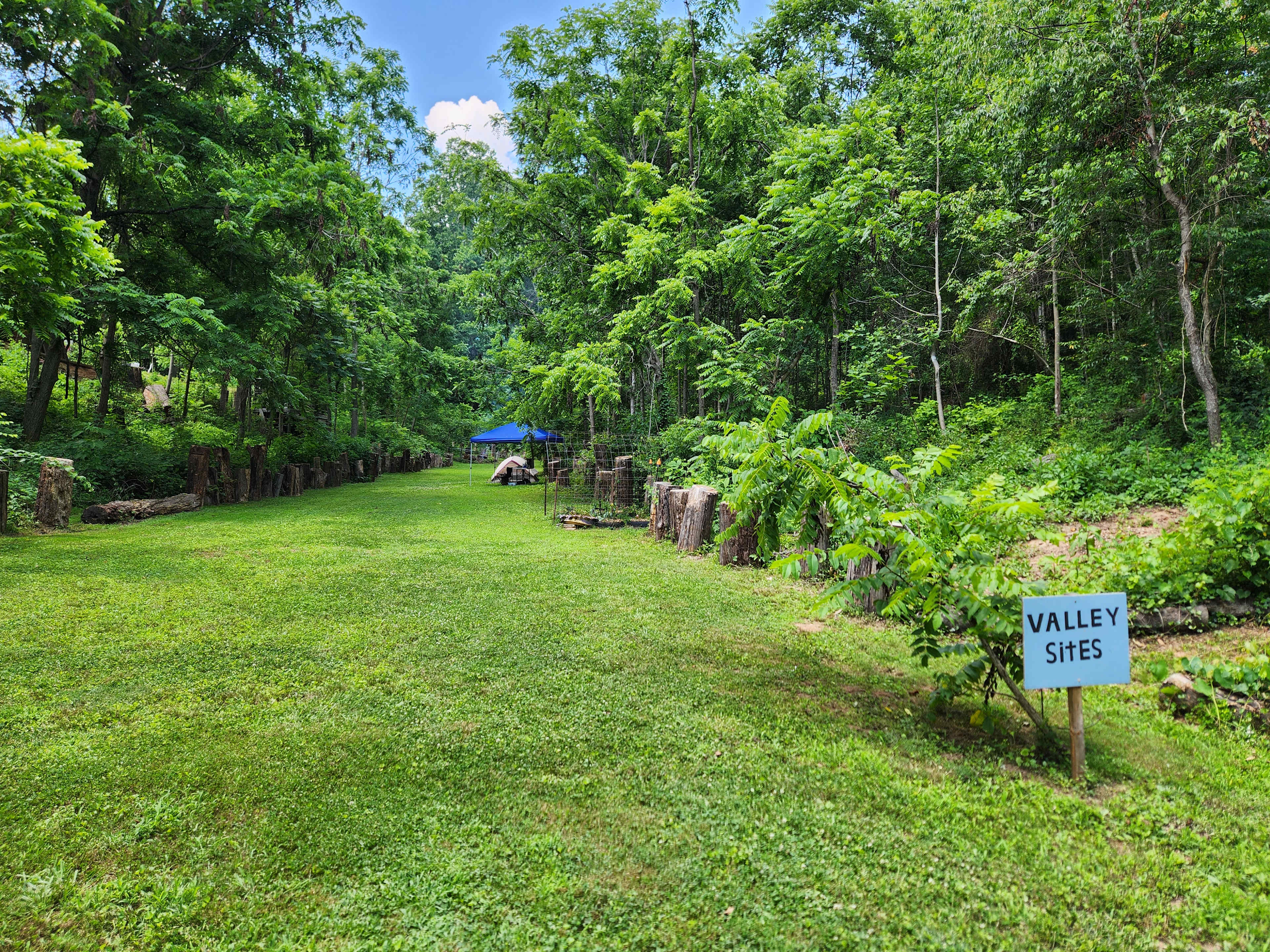 Picture of the site
