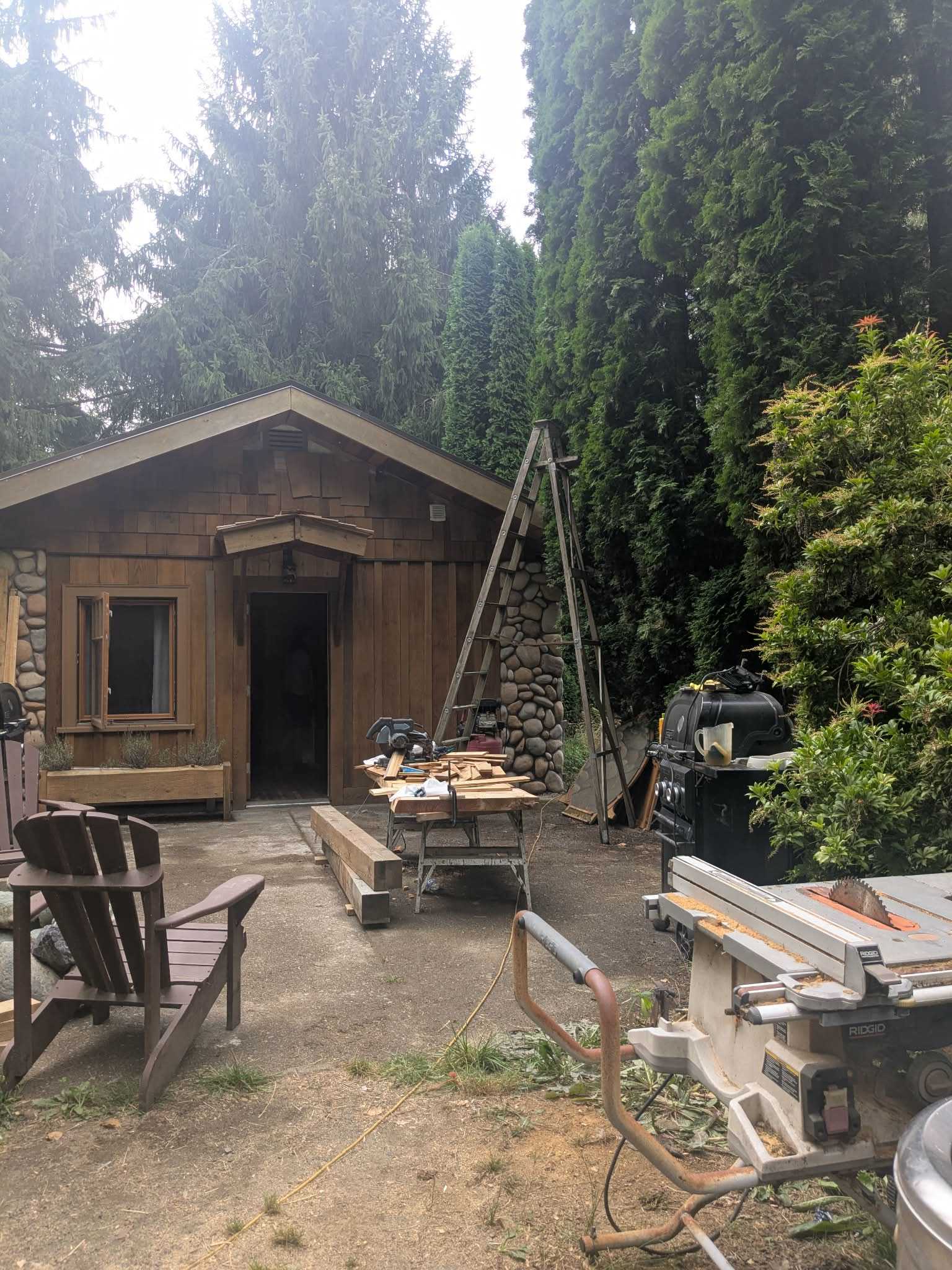 Picture of the site