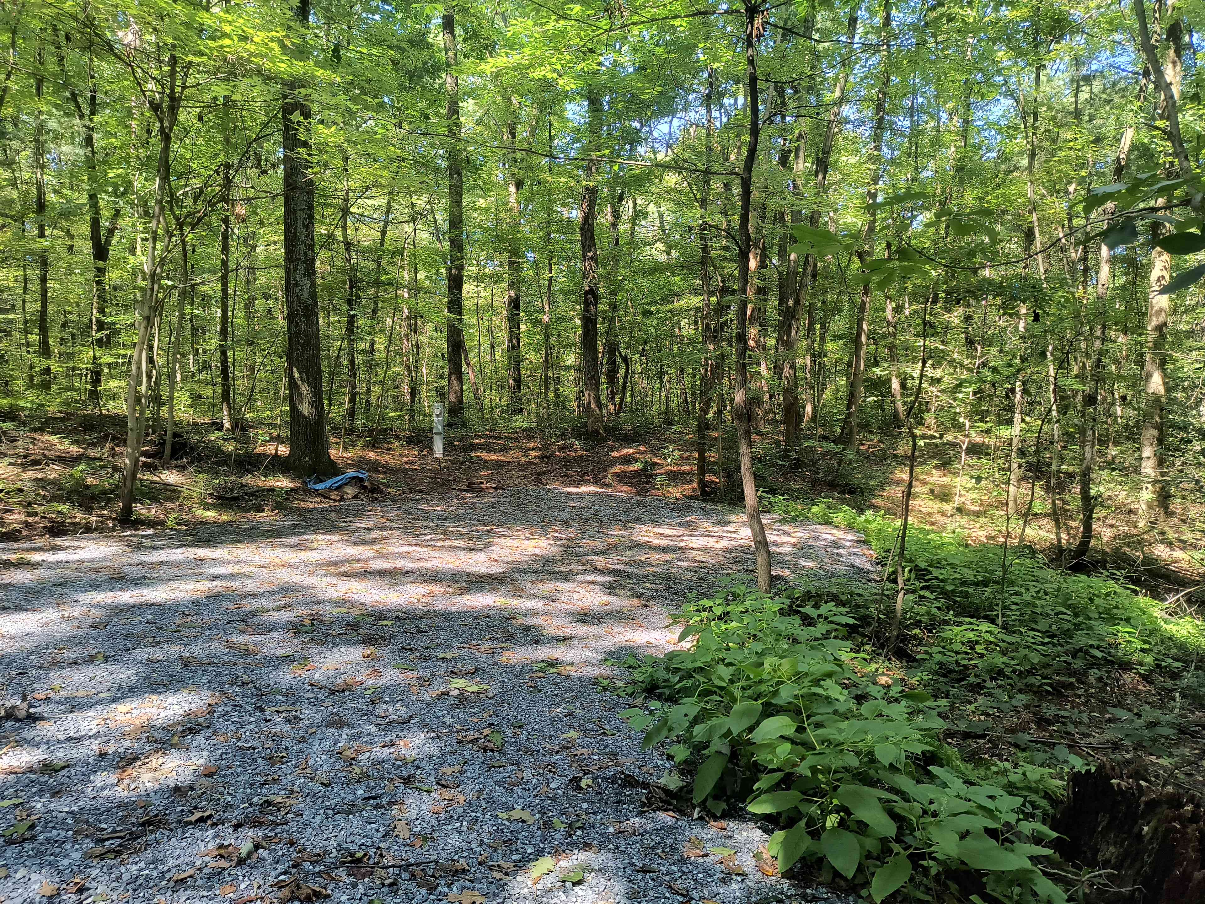 Pine Hill Hideaway