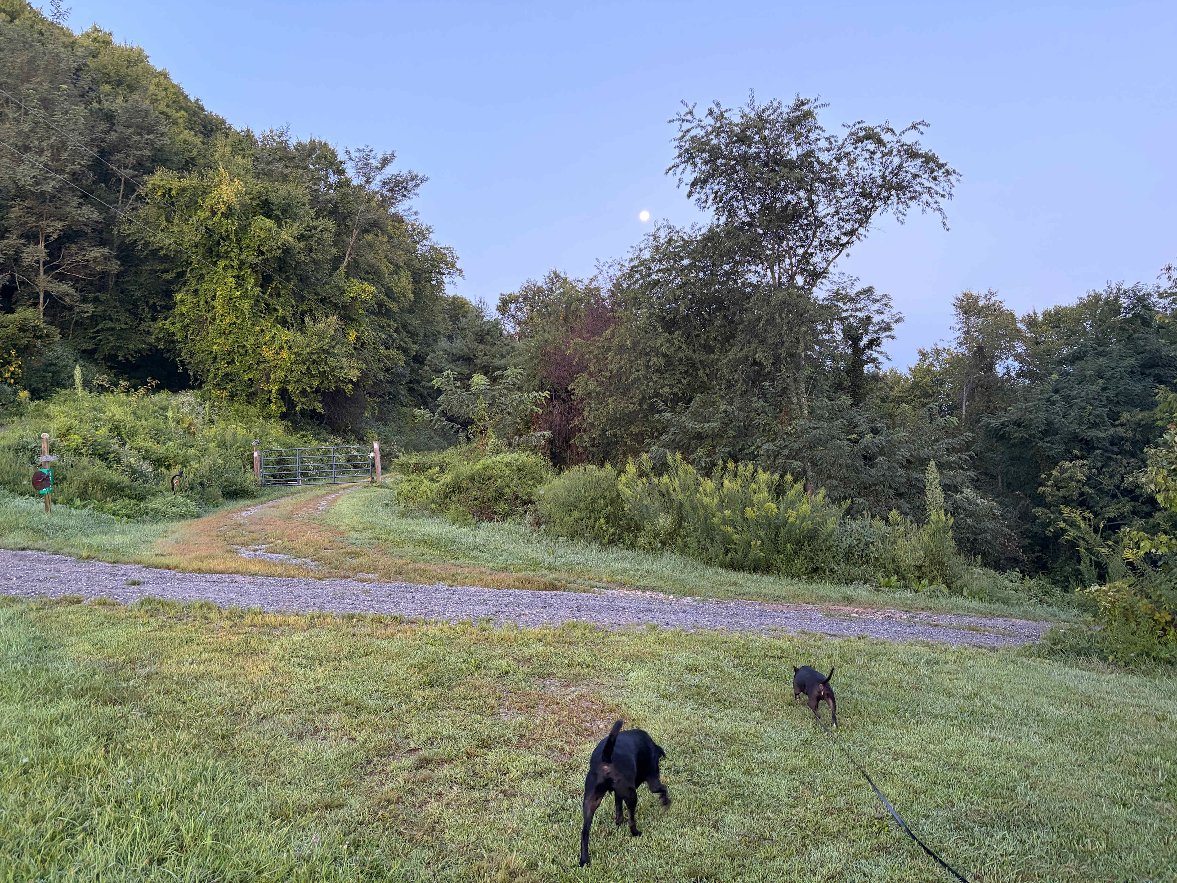 Run Away Ridge