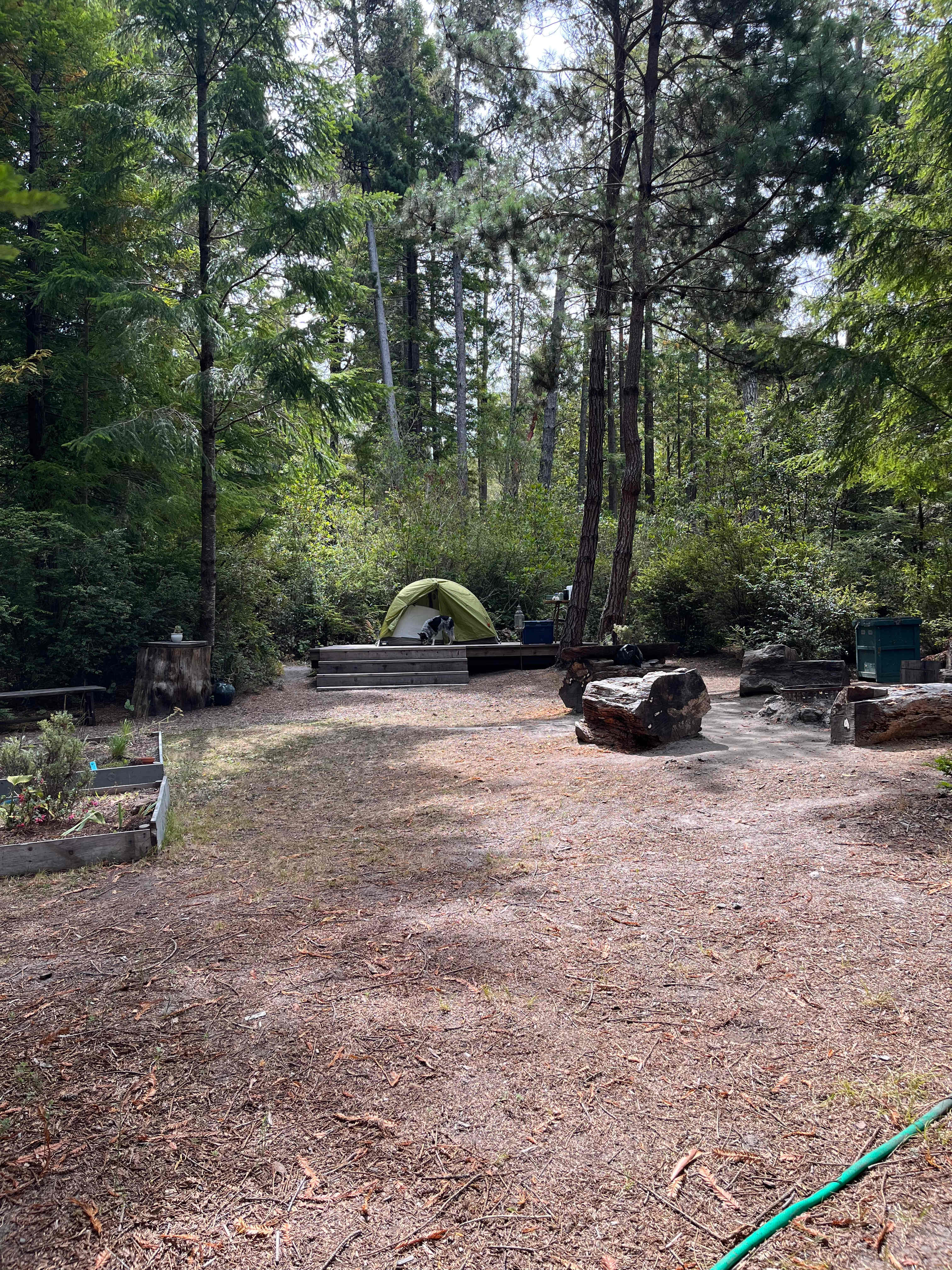 Tent site