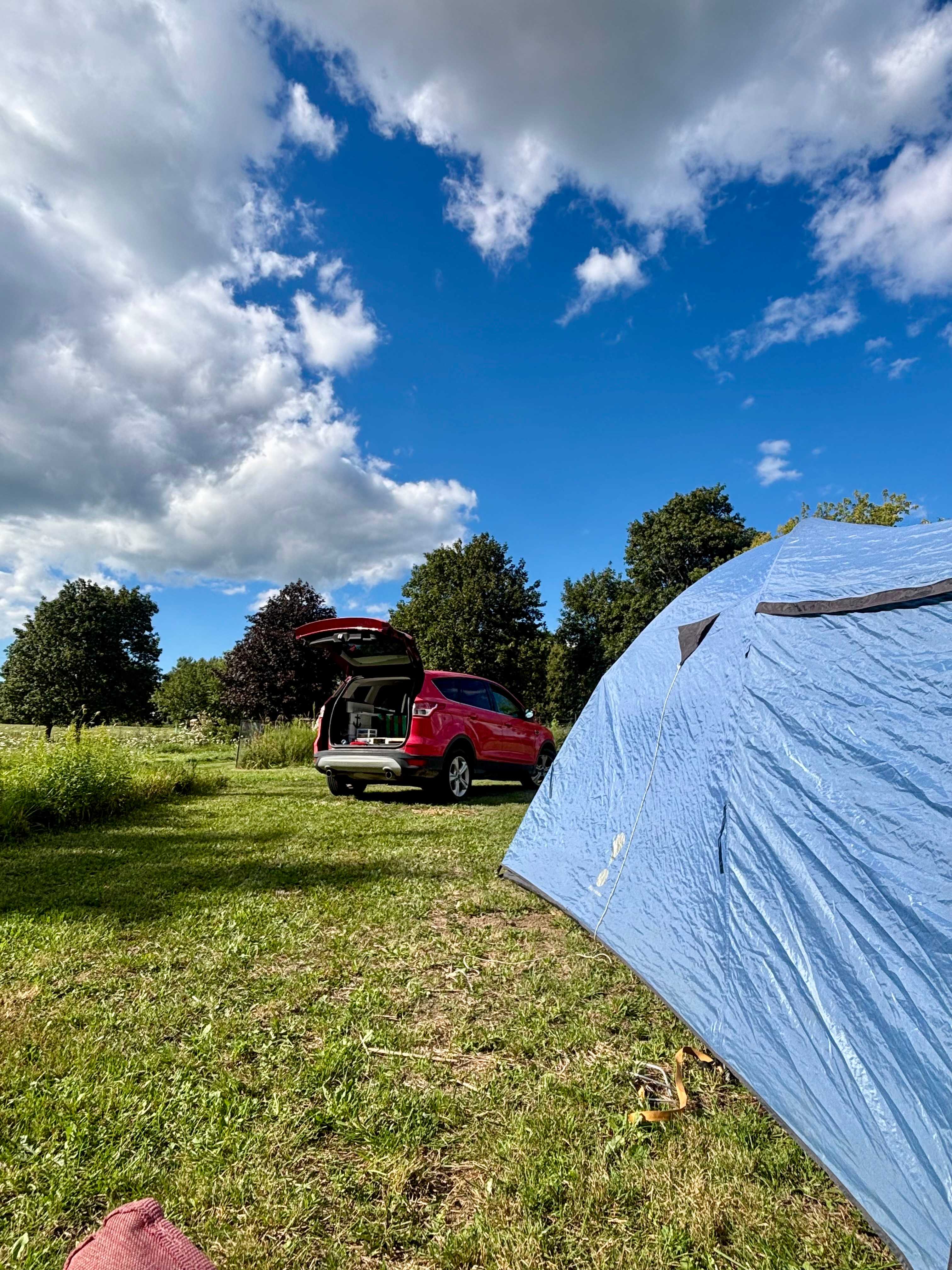Site