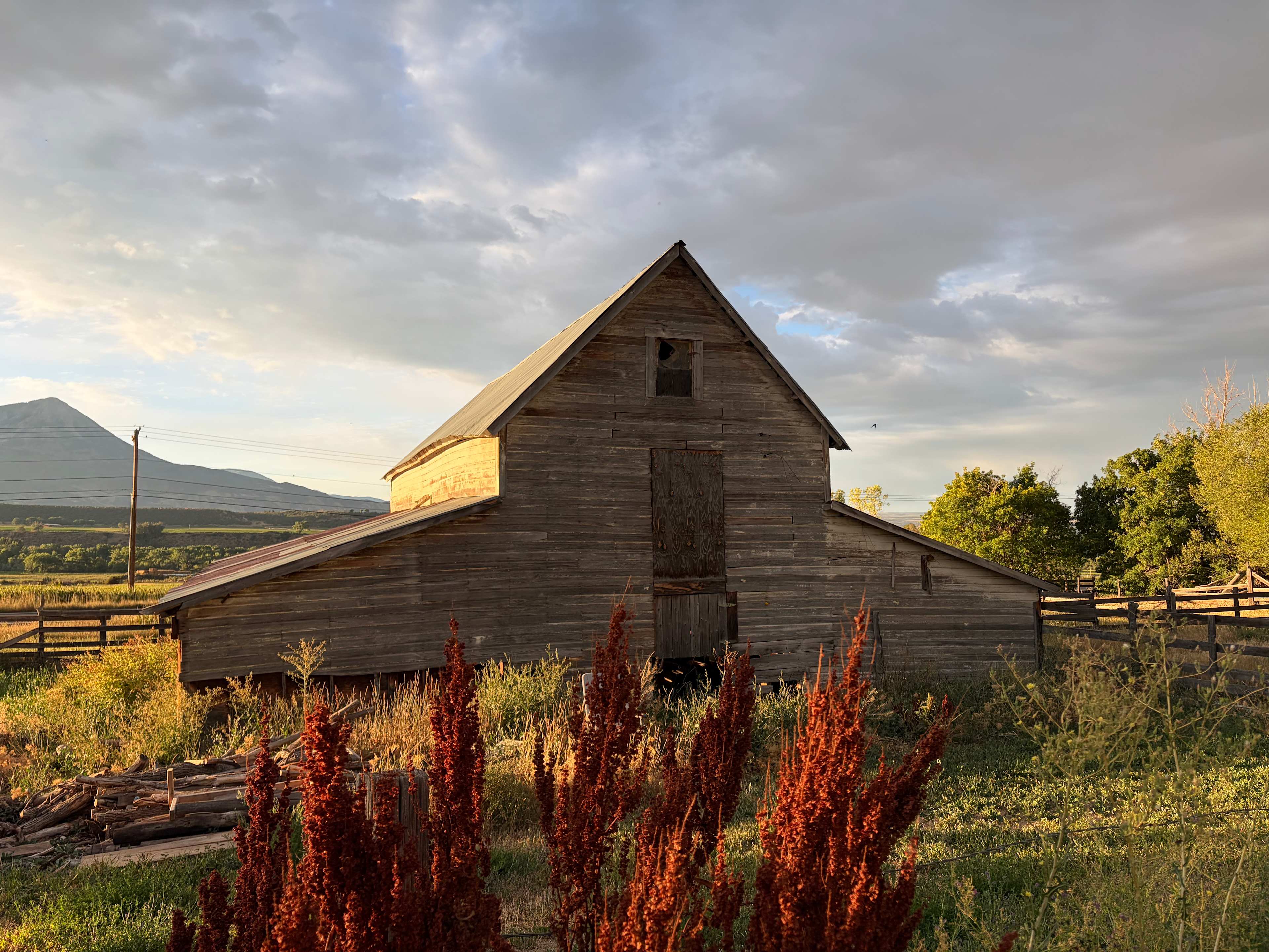 Old Moon Acres Tipi Haven