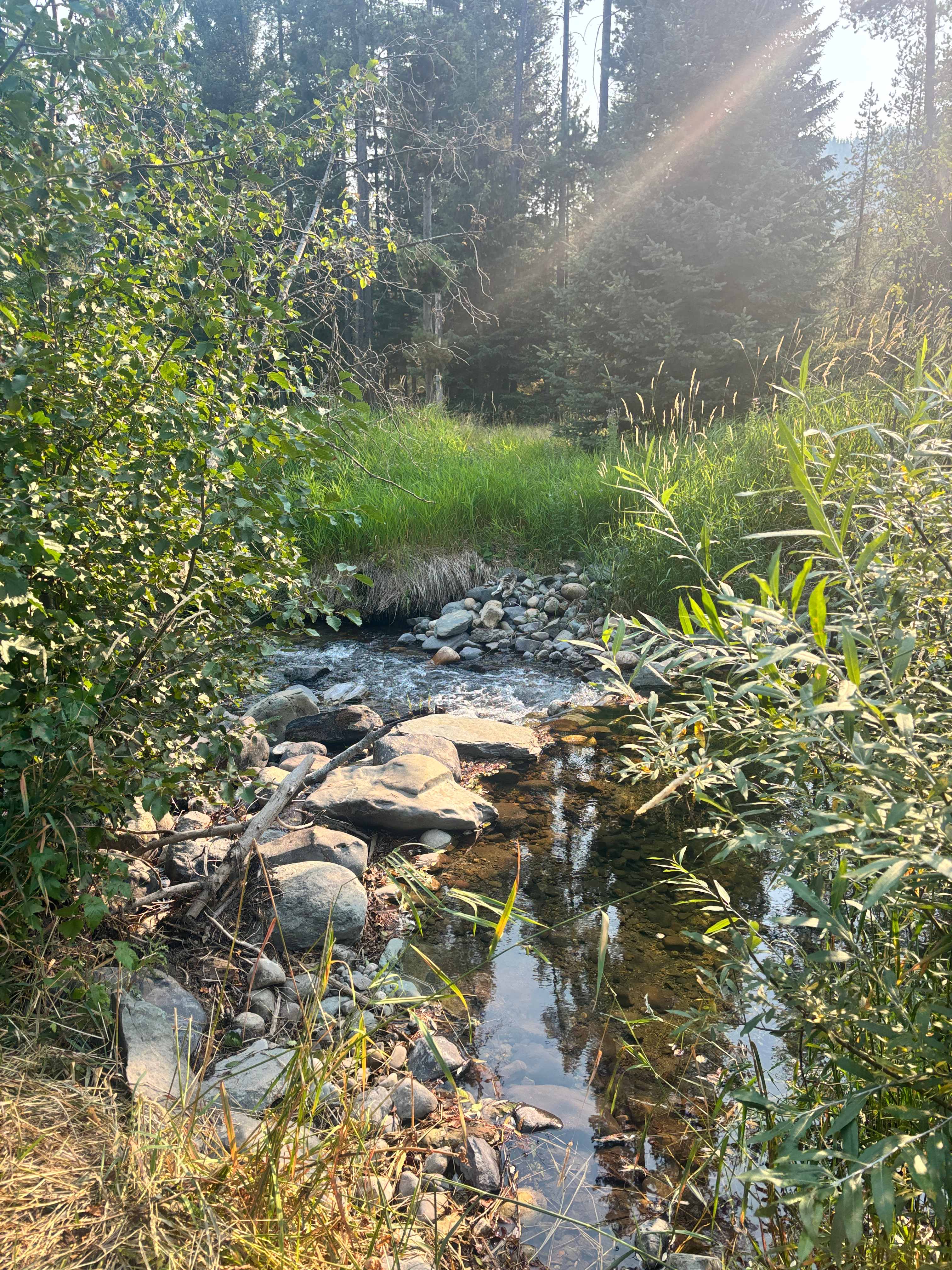 Murphy's Gold Creek Ranch
