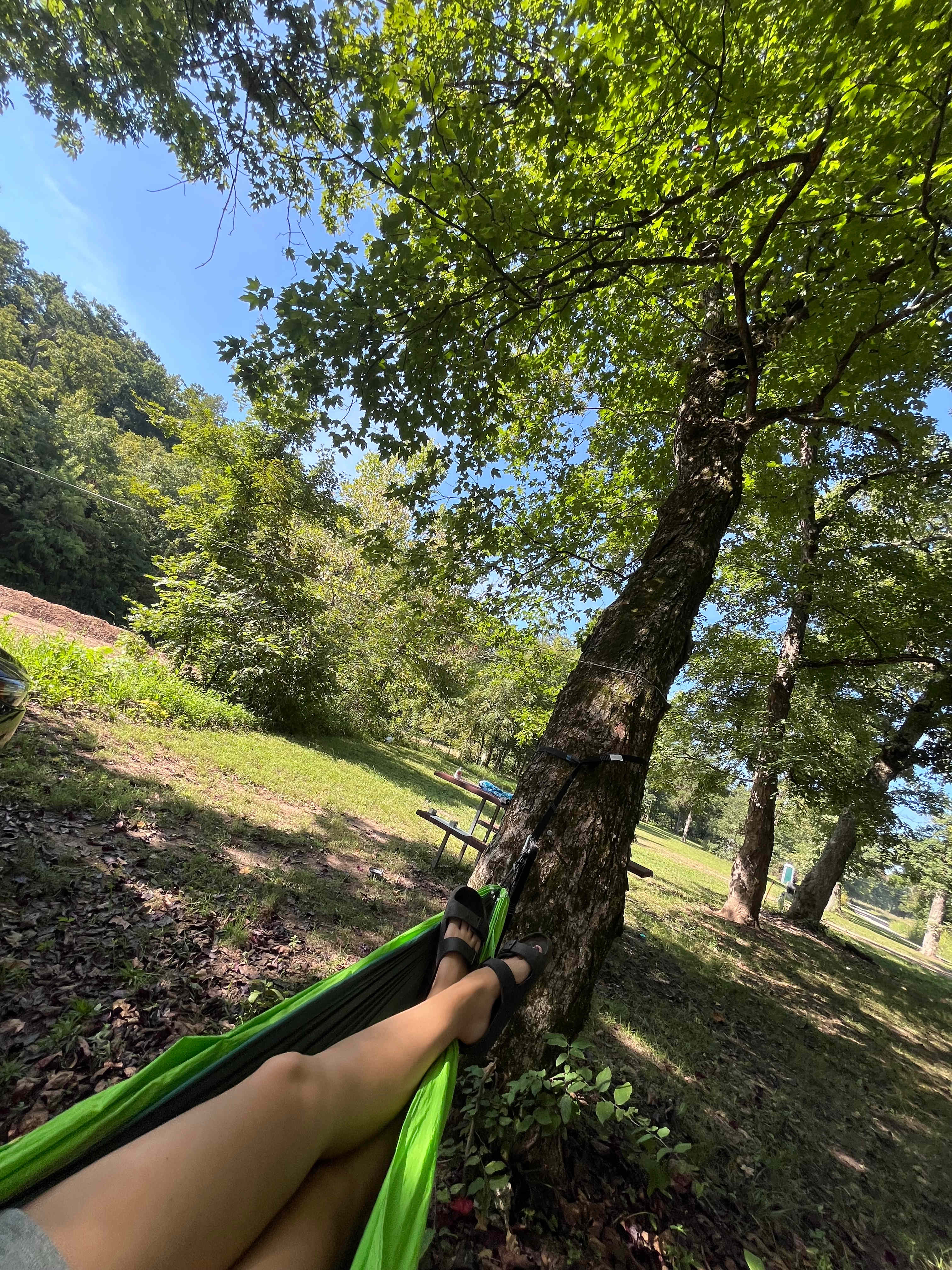 Had hooks in the trees, useful for hammocks but I had my straps with me