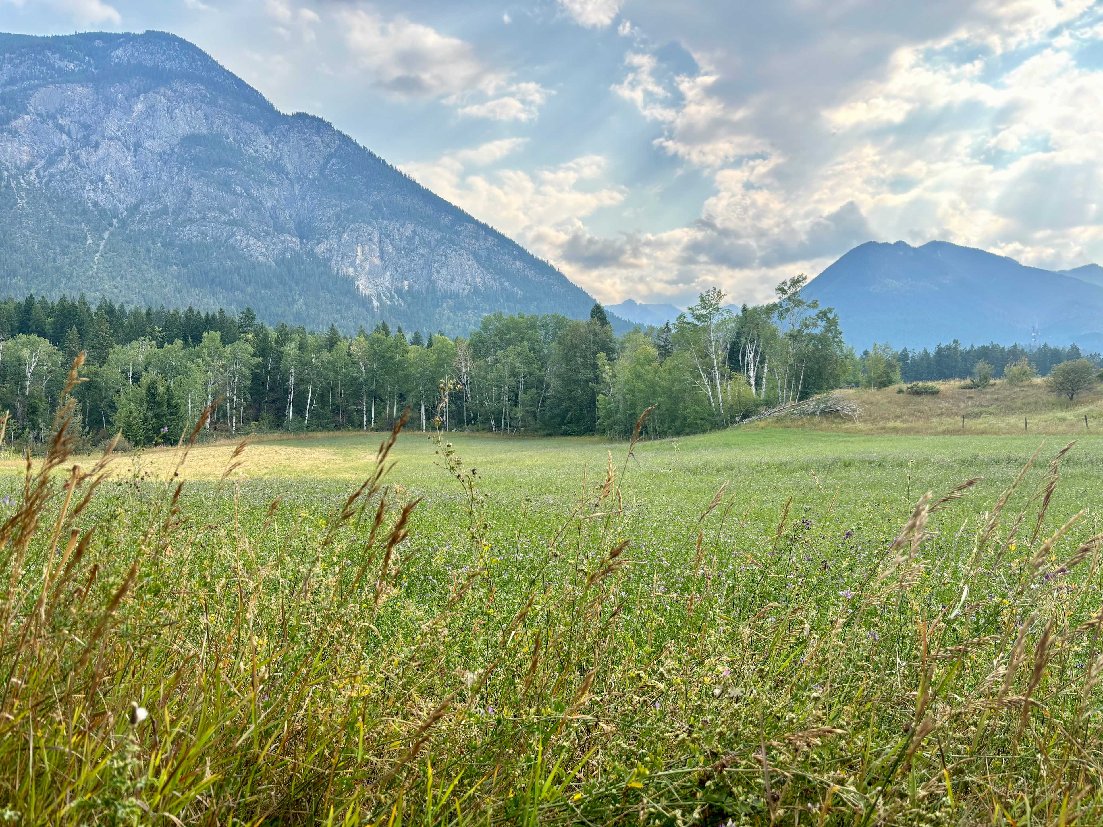 Flyway Farm & Forest