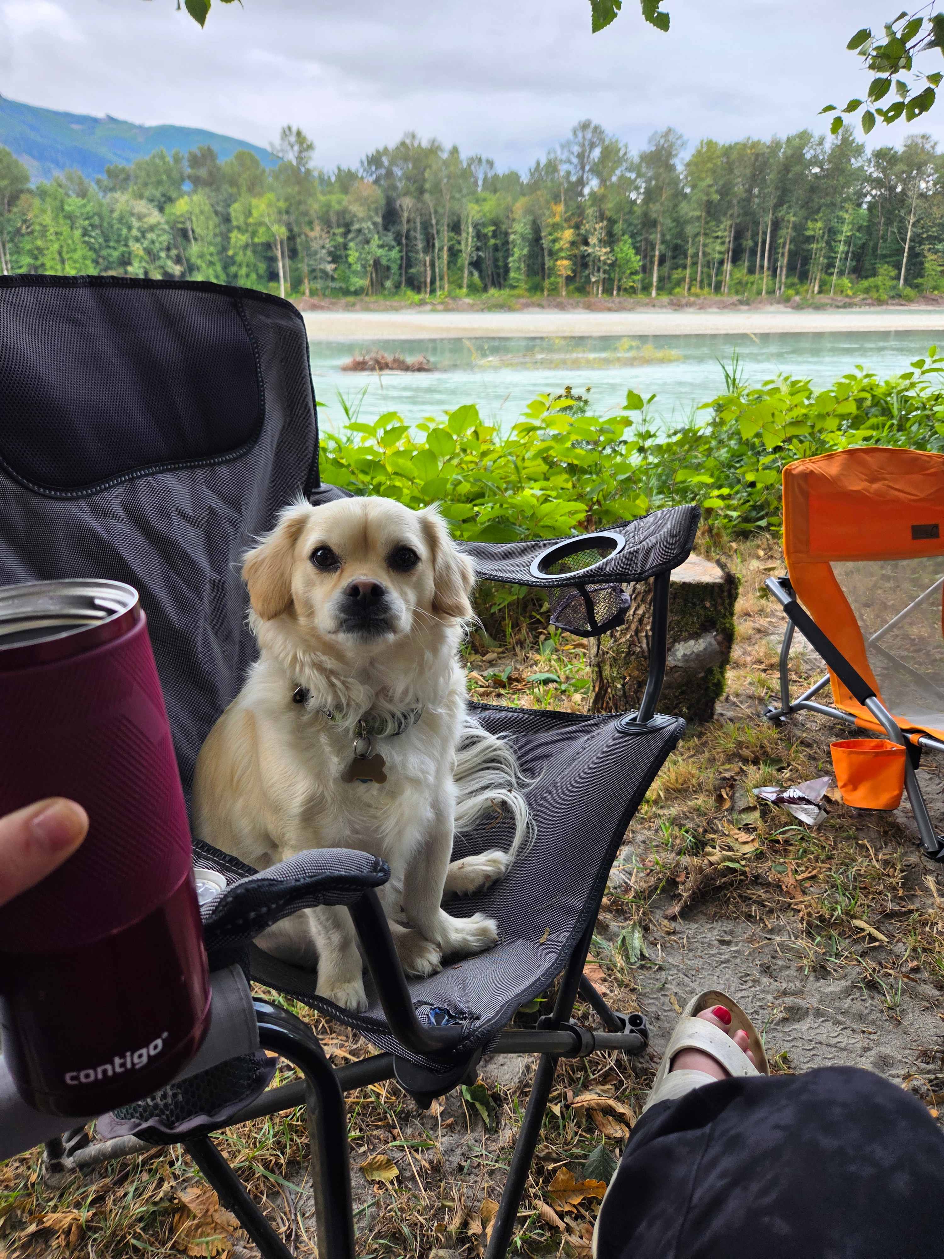 Skagit river camping and sauna