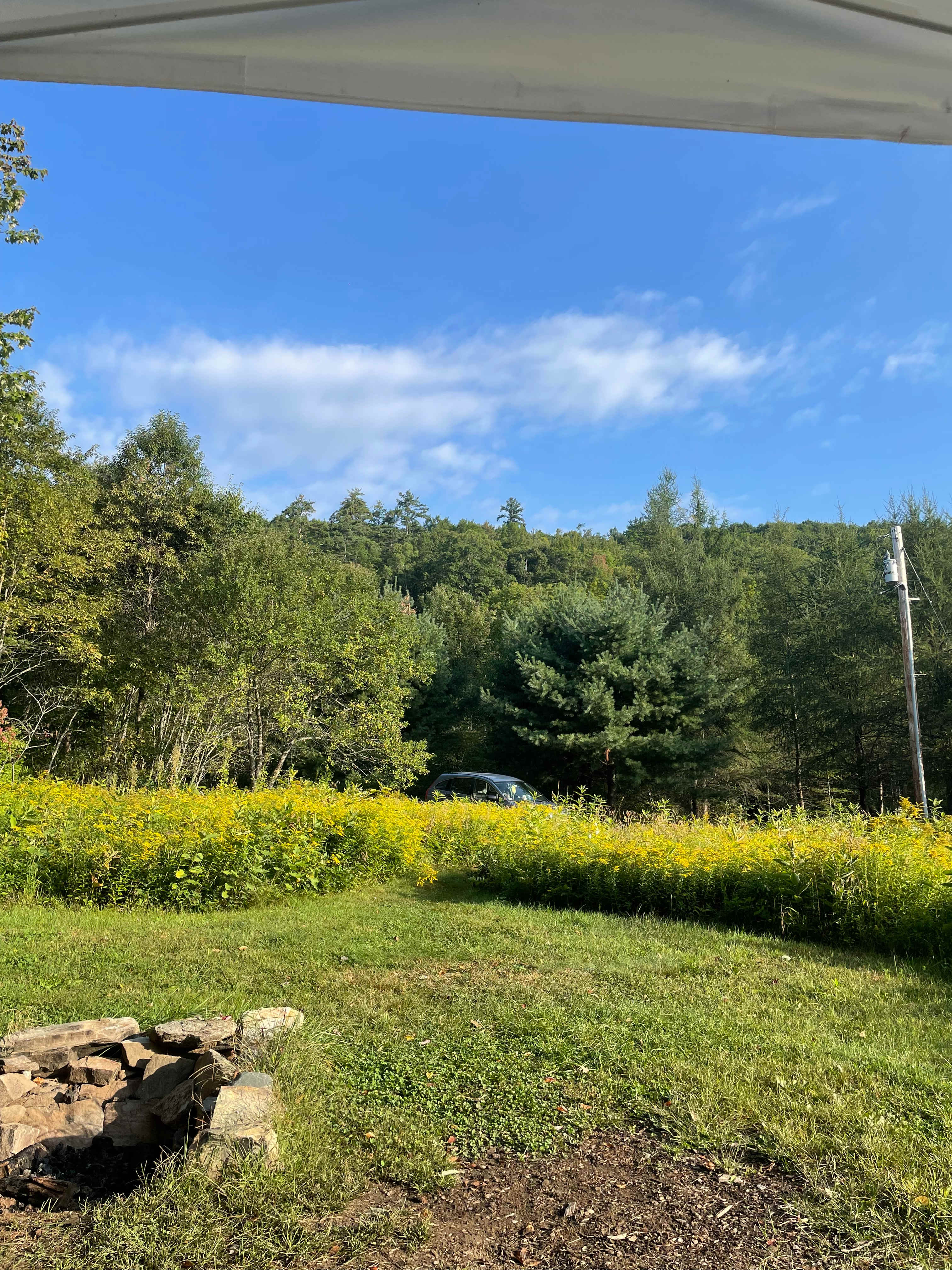 Old Farm Field