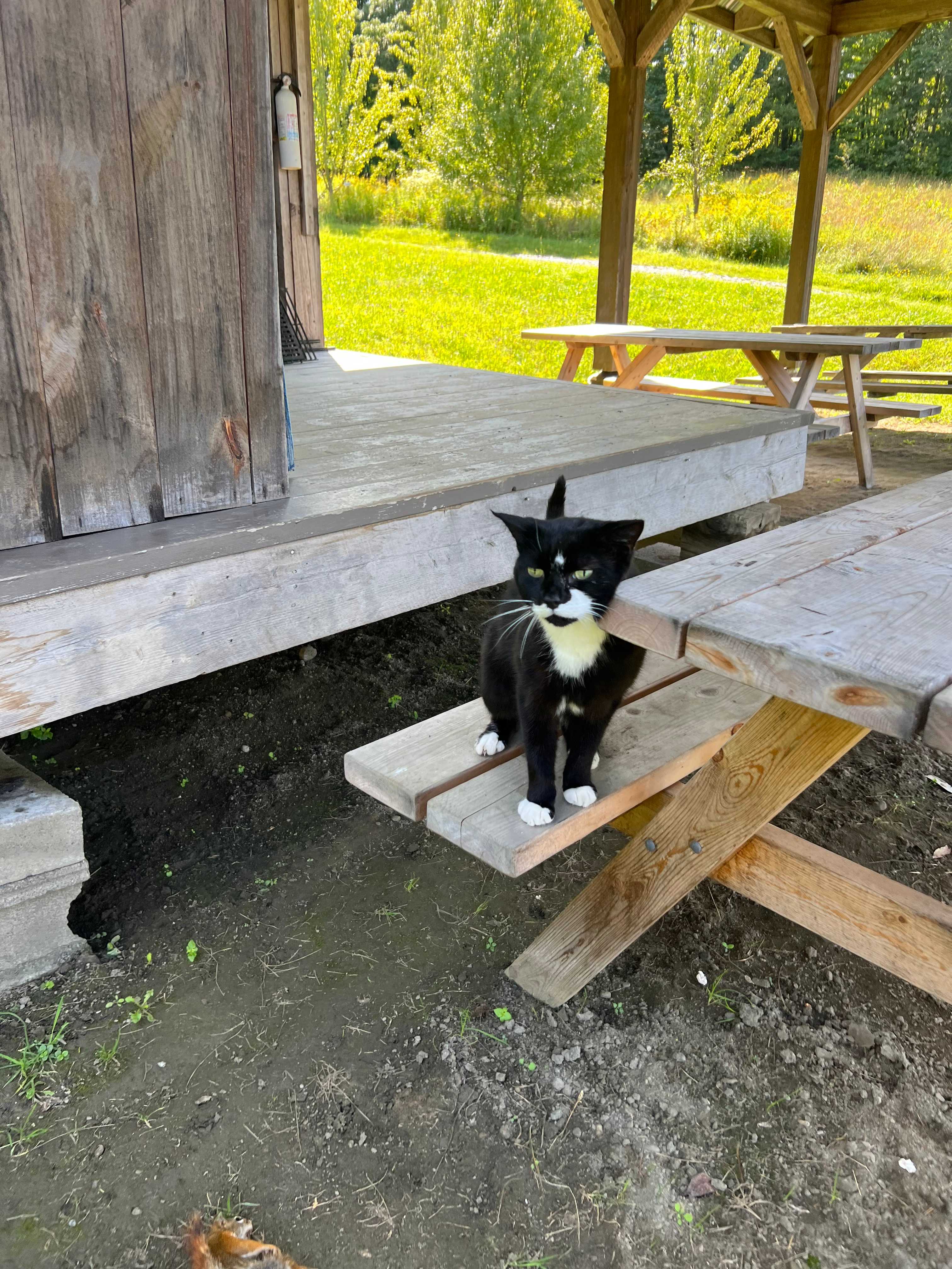 Four Springs Farm, Campground & Learning Center