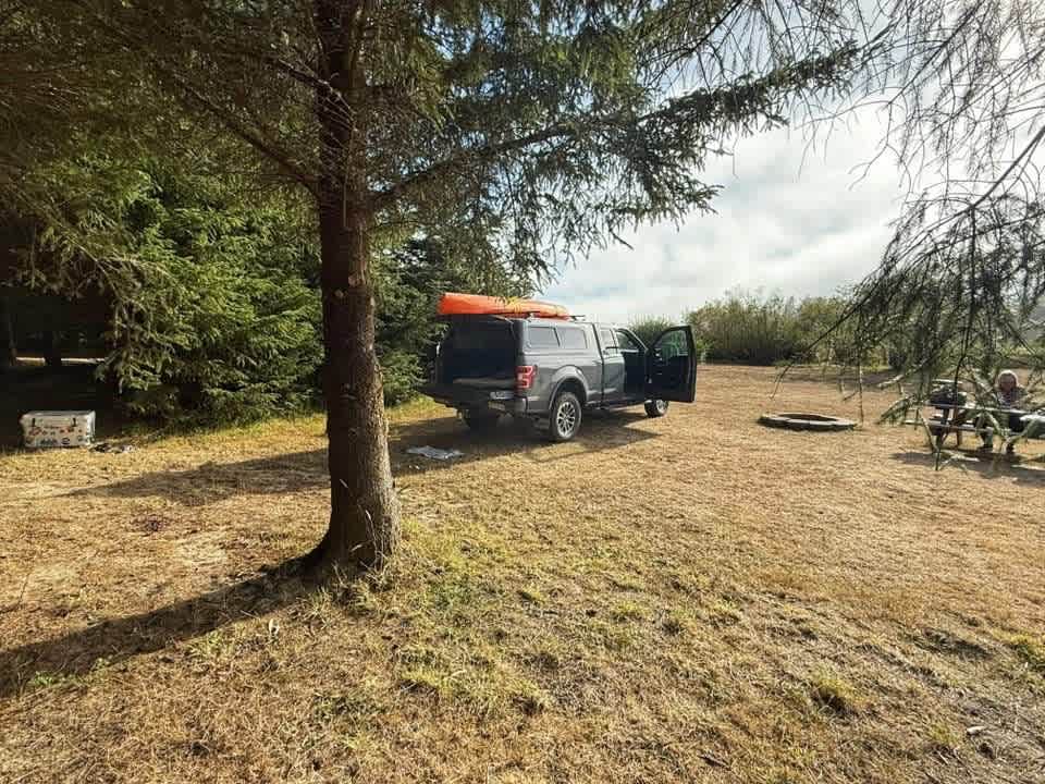 Site 4
