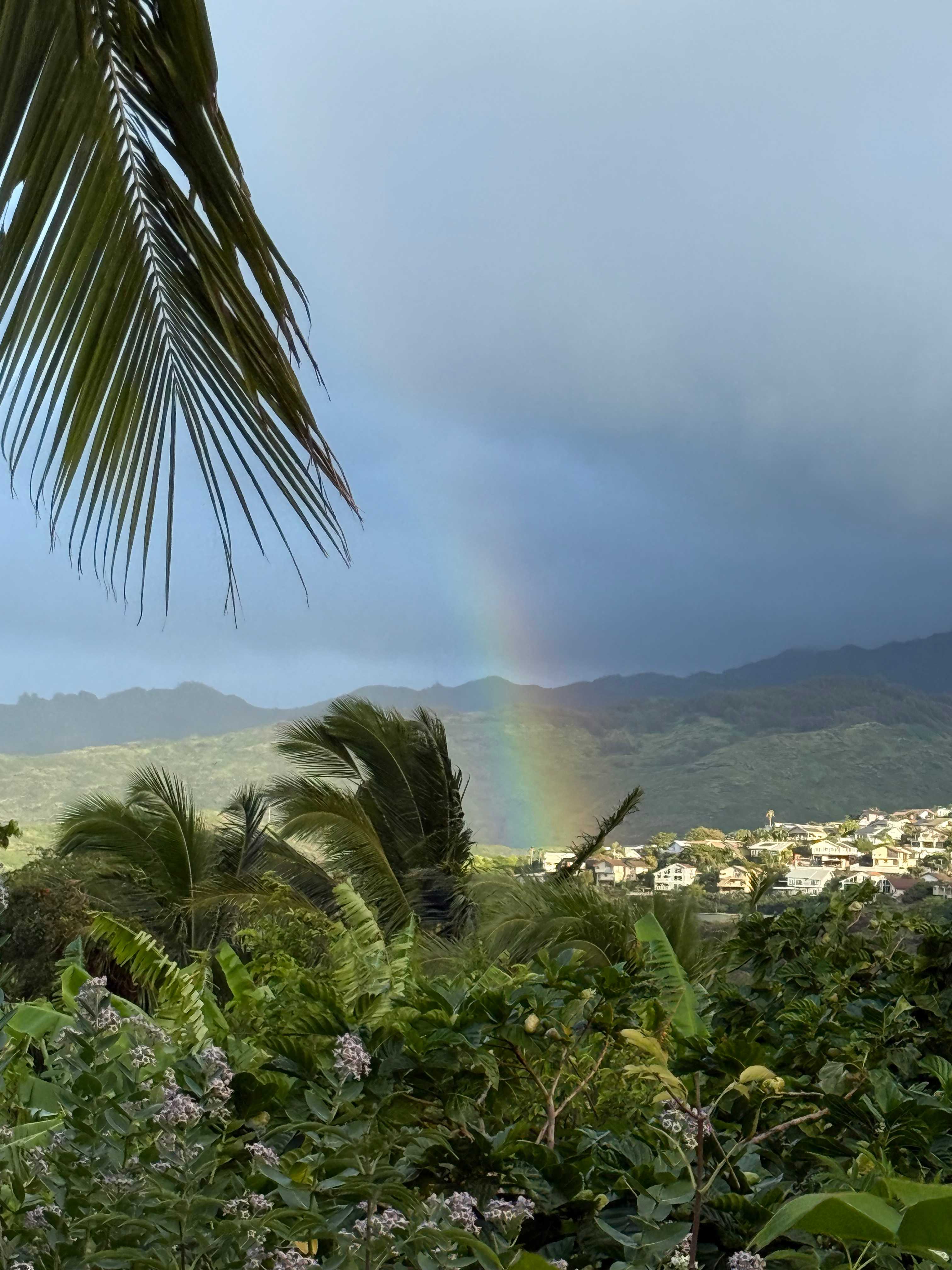Sun Farm Hawaii @ Koko Head