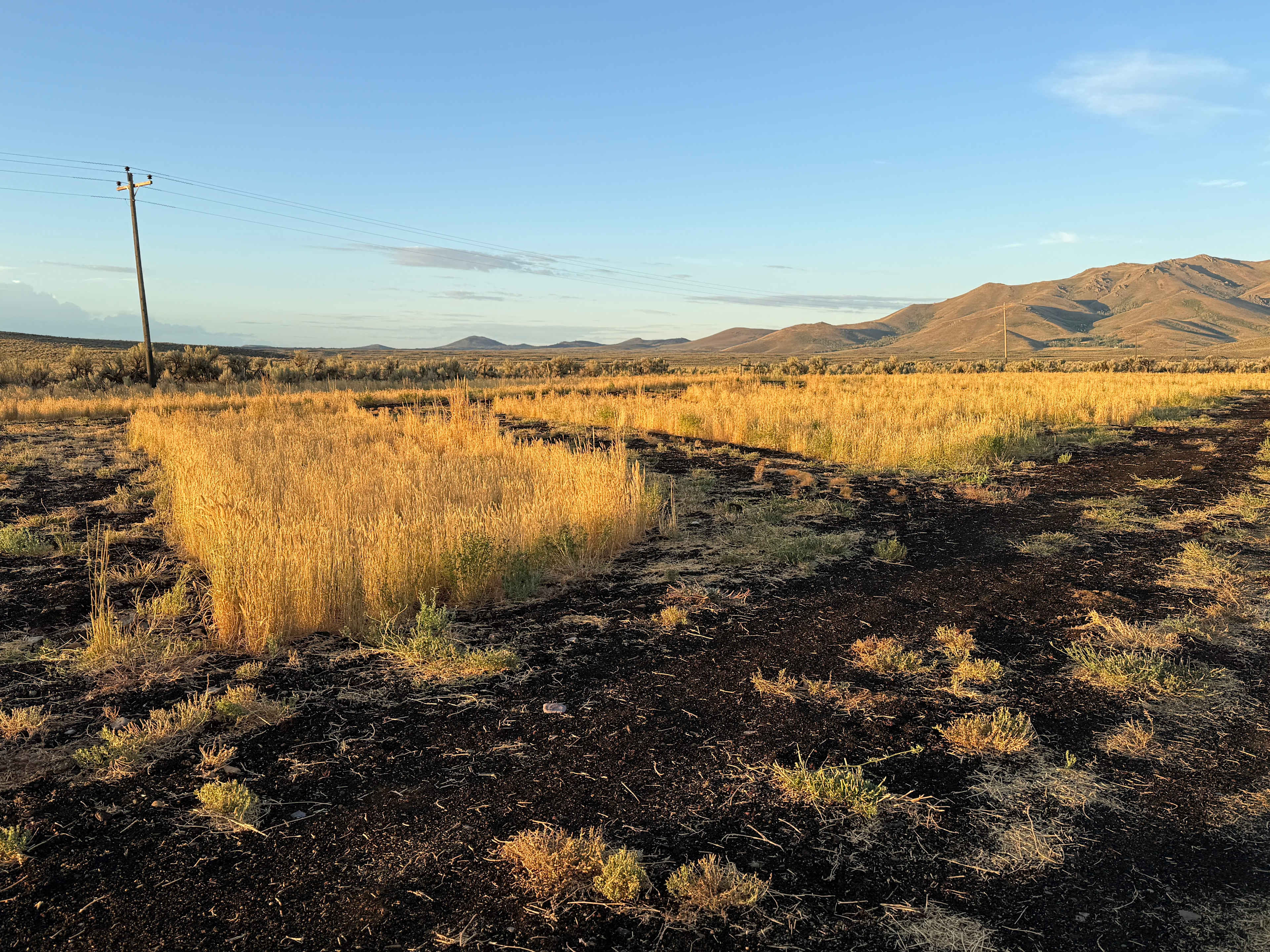 Champagne Creek Ranch